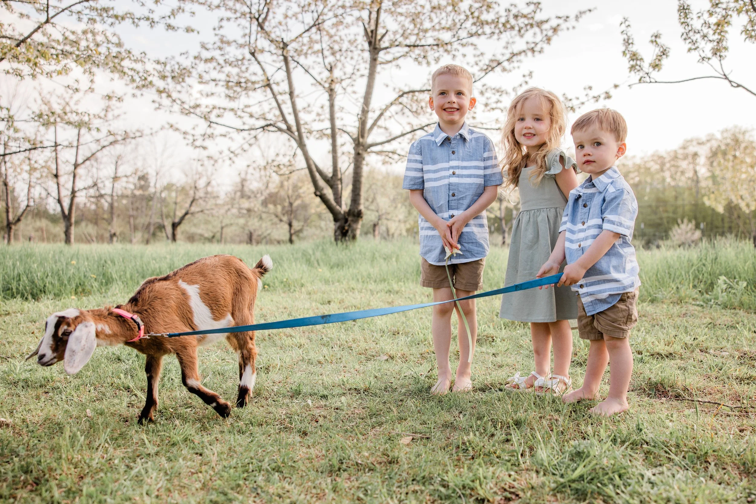 Goats and Blooms Mini Sessions-7.jpg