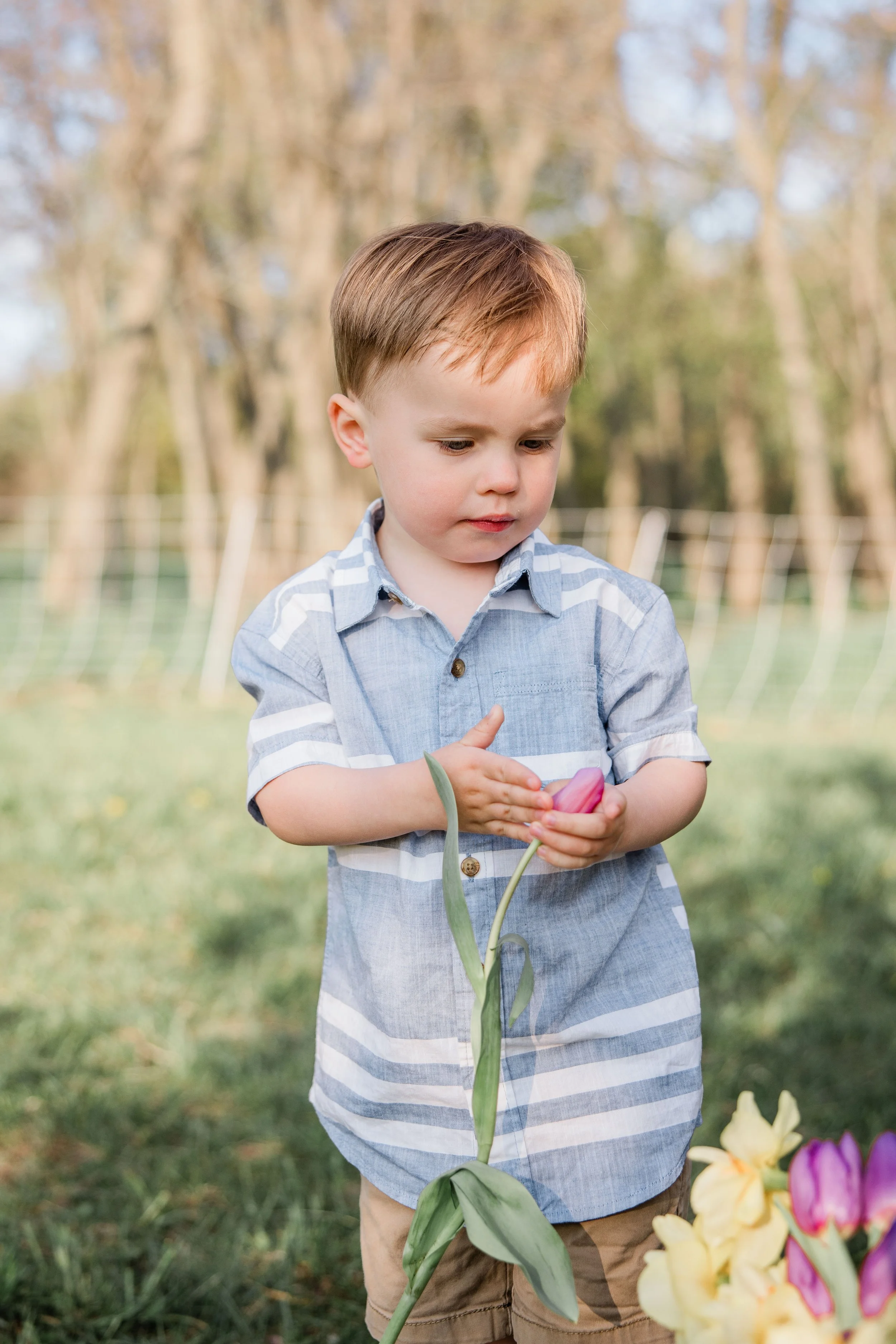 Goats and Blooms Mini Sessions-16.jpg