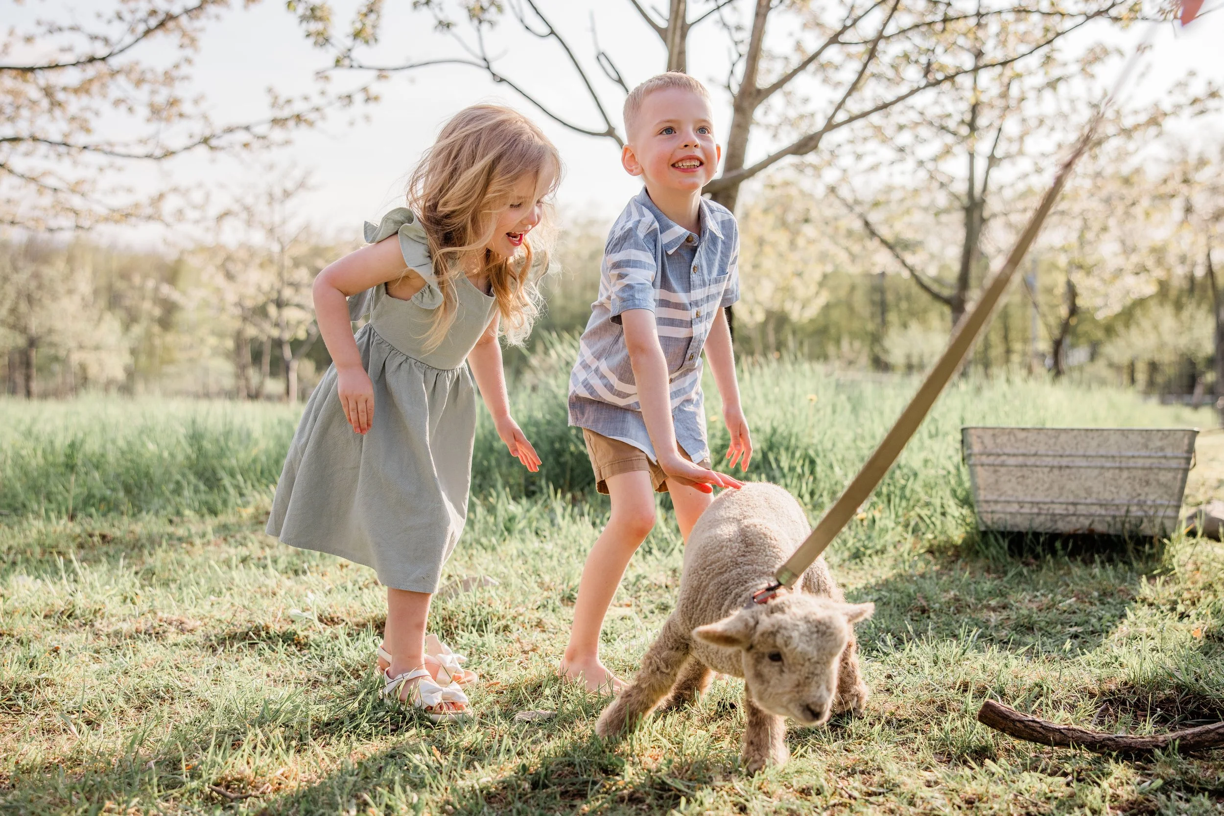 Goats and Blooms Mini Sessions-17.jpg