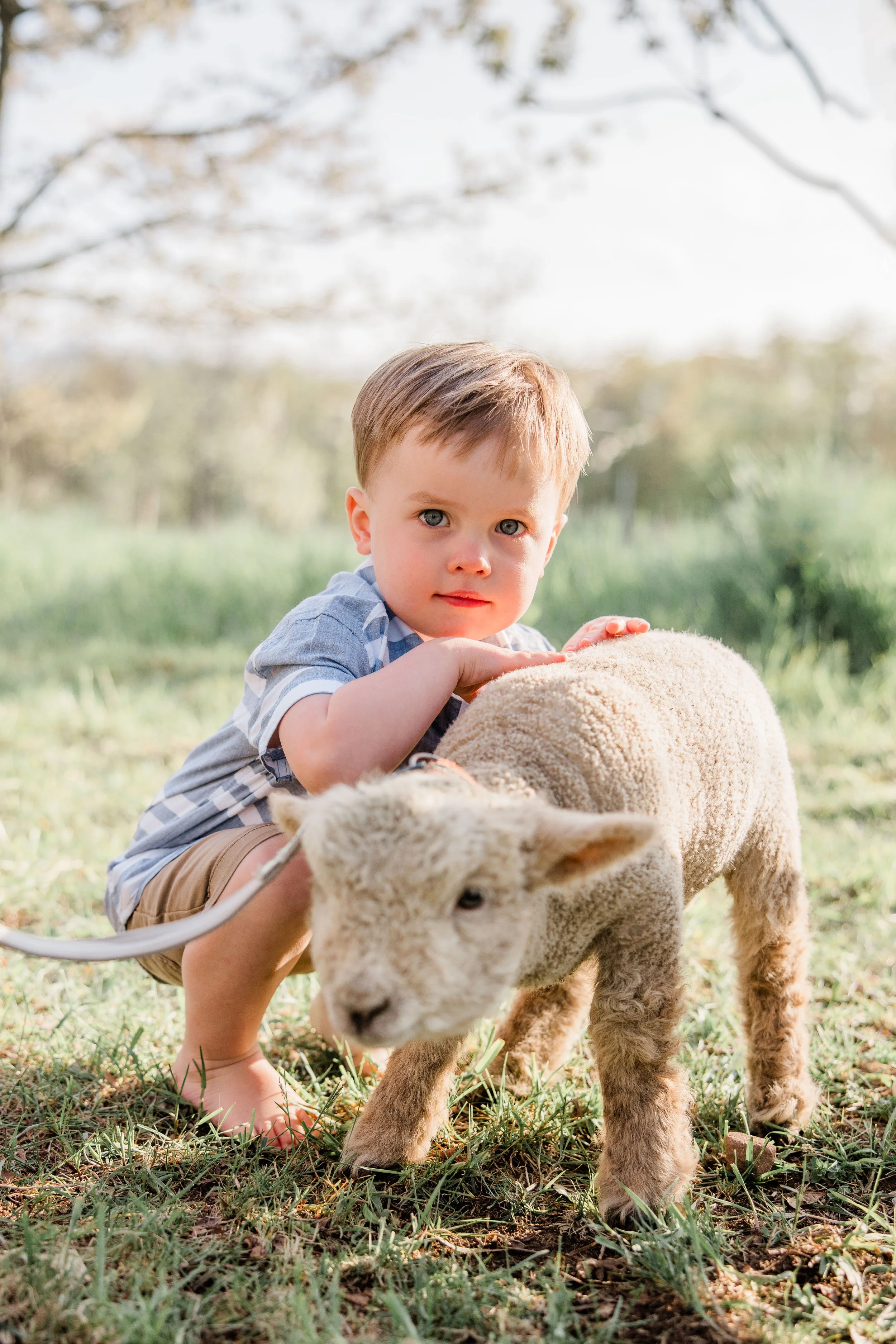 Goats and Blooms Mini Sessions-19.jpg