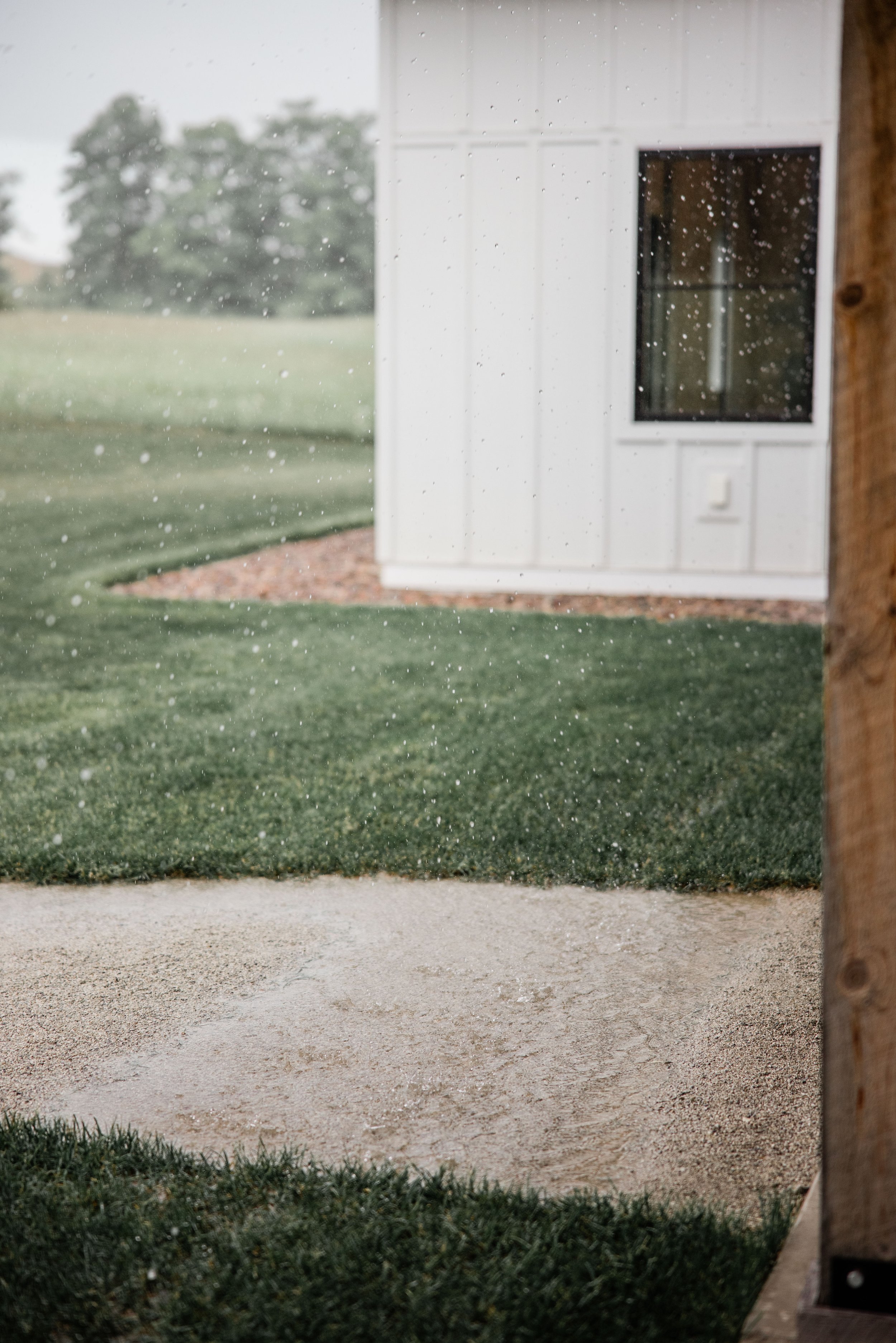 Elizabeth and Trevor Wedding-97.jpg