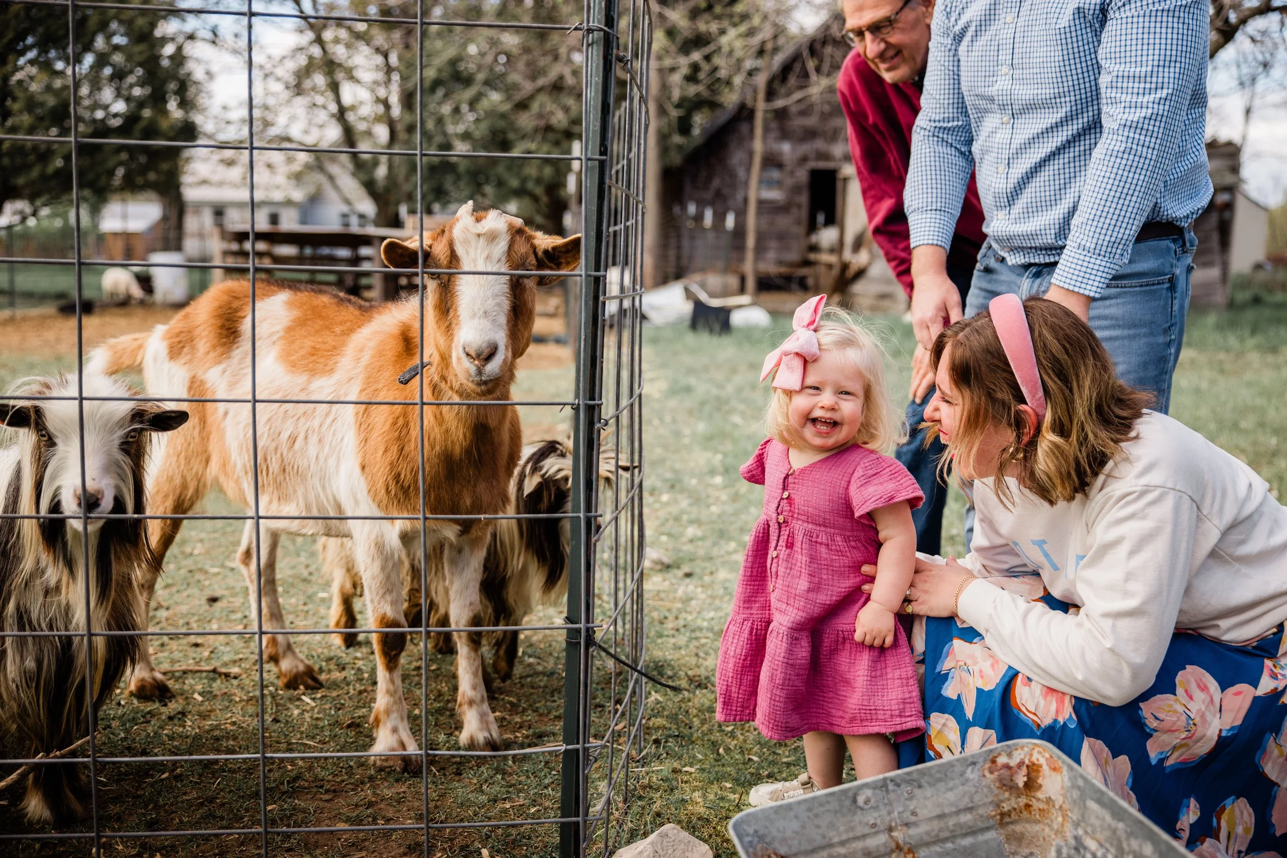 Goats and Blooms-27.jpg