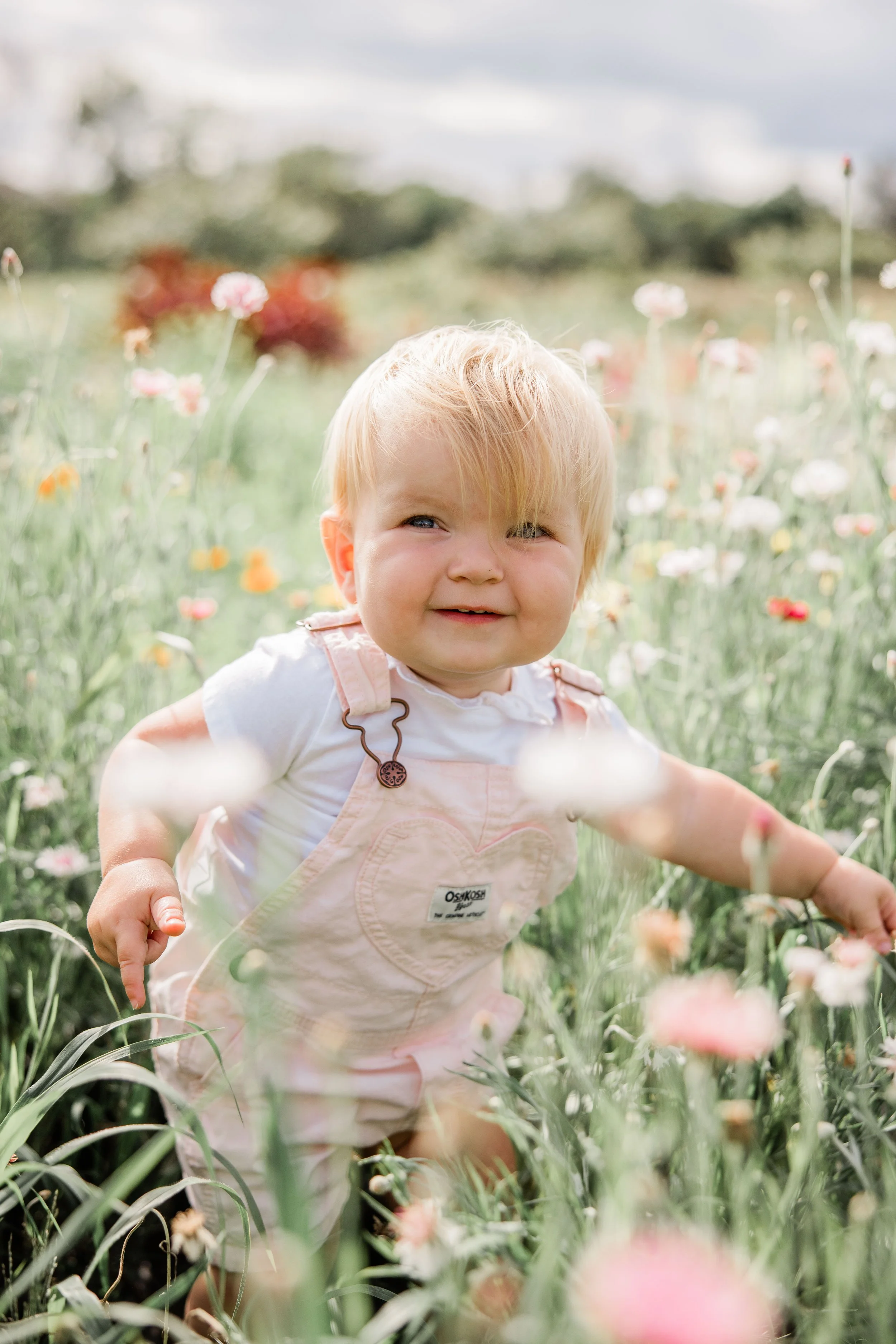 Flower Field Minis 2024-12.jpg
