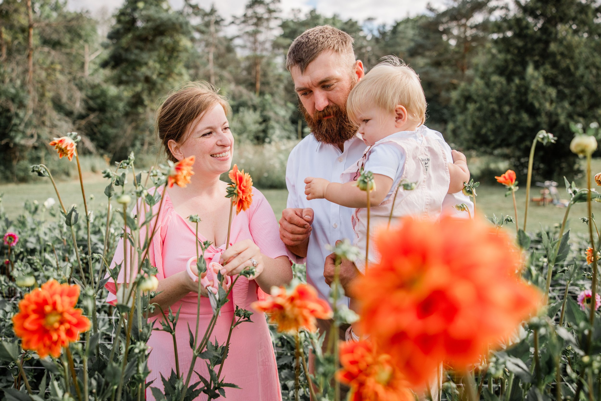 Flower Field Minis 2024-14.jpg