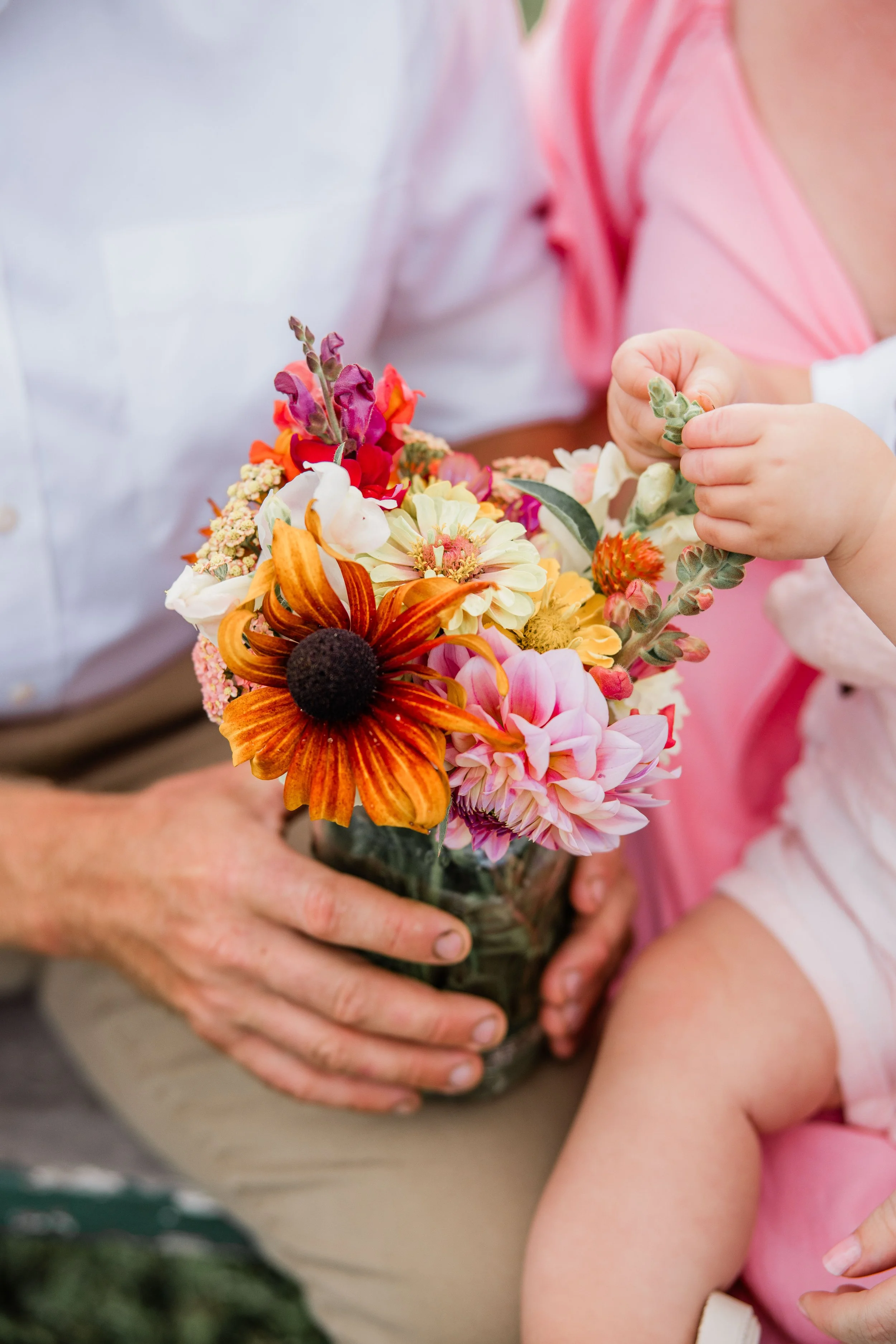 Flower Field Minis 2024-22.jpg
