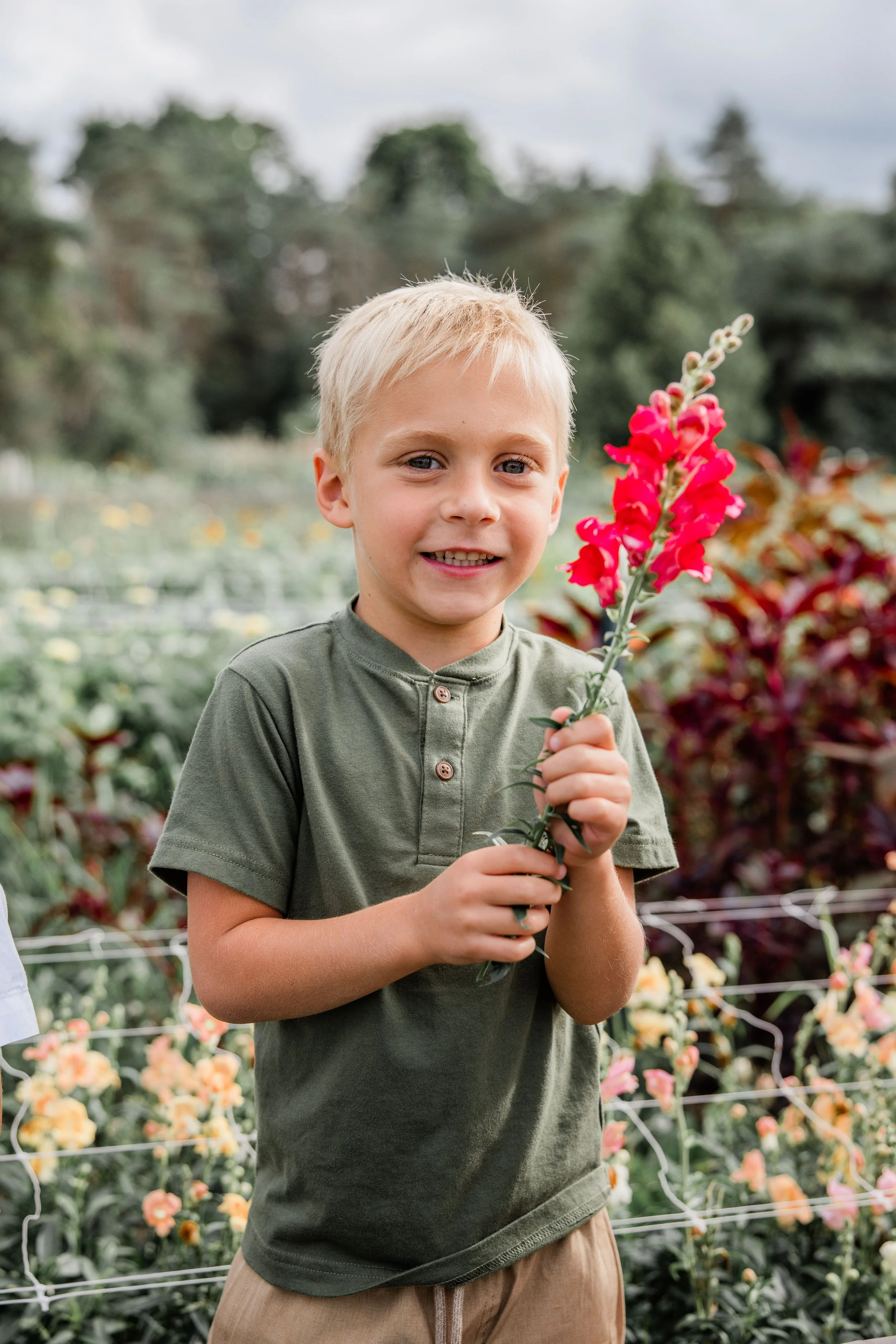 Flower Field Minis 2024-13.jpg