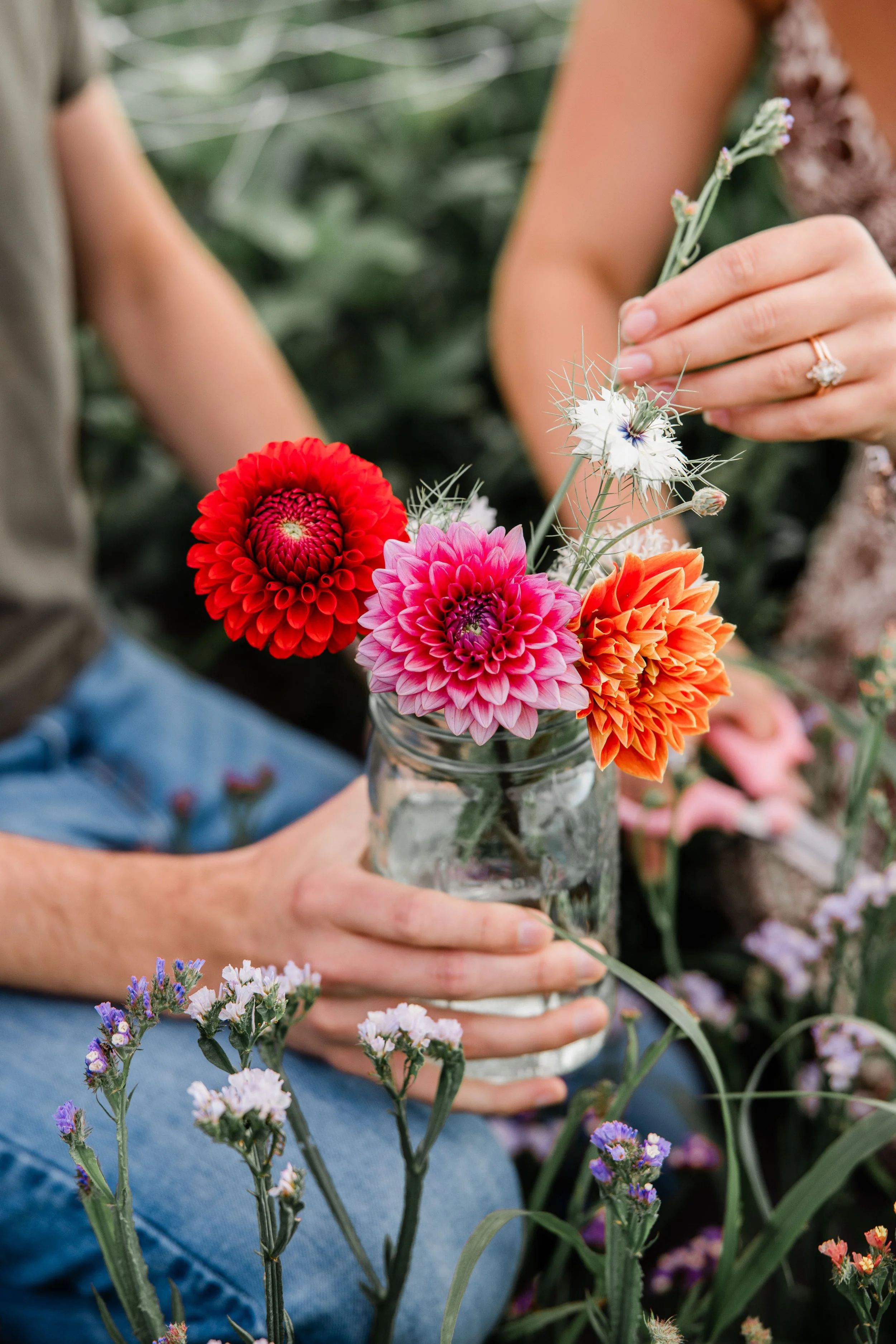 Flower Field Minis 2024-15.jpg
