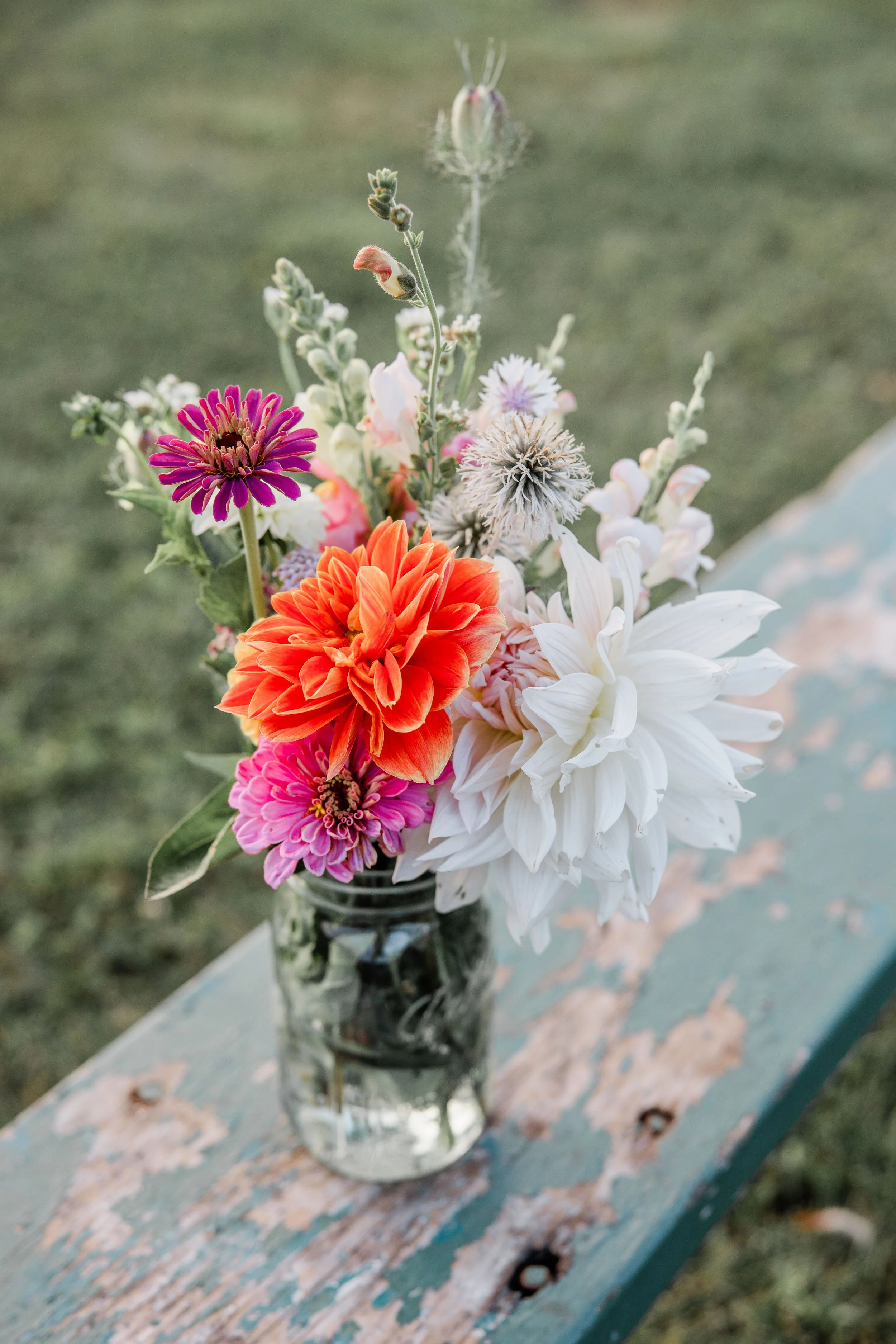 Flower Field Minis 2024-15.jpg