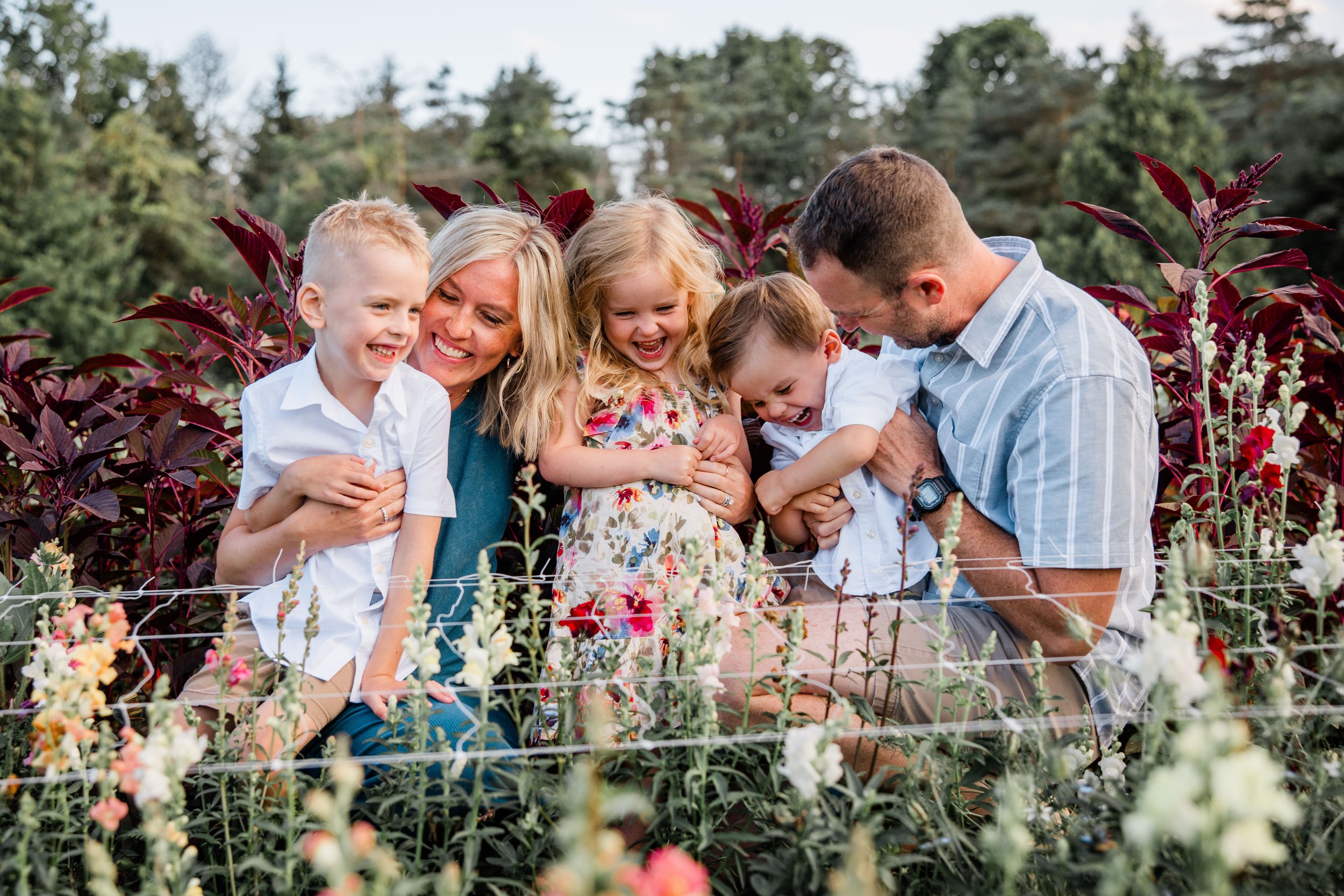 Flower Field Minis 2024-2.jpg