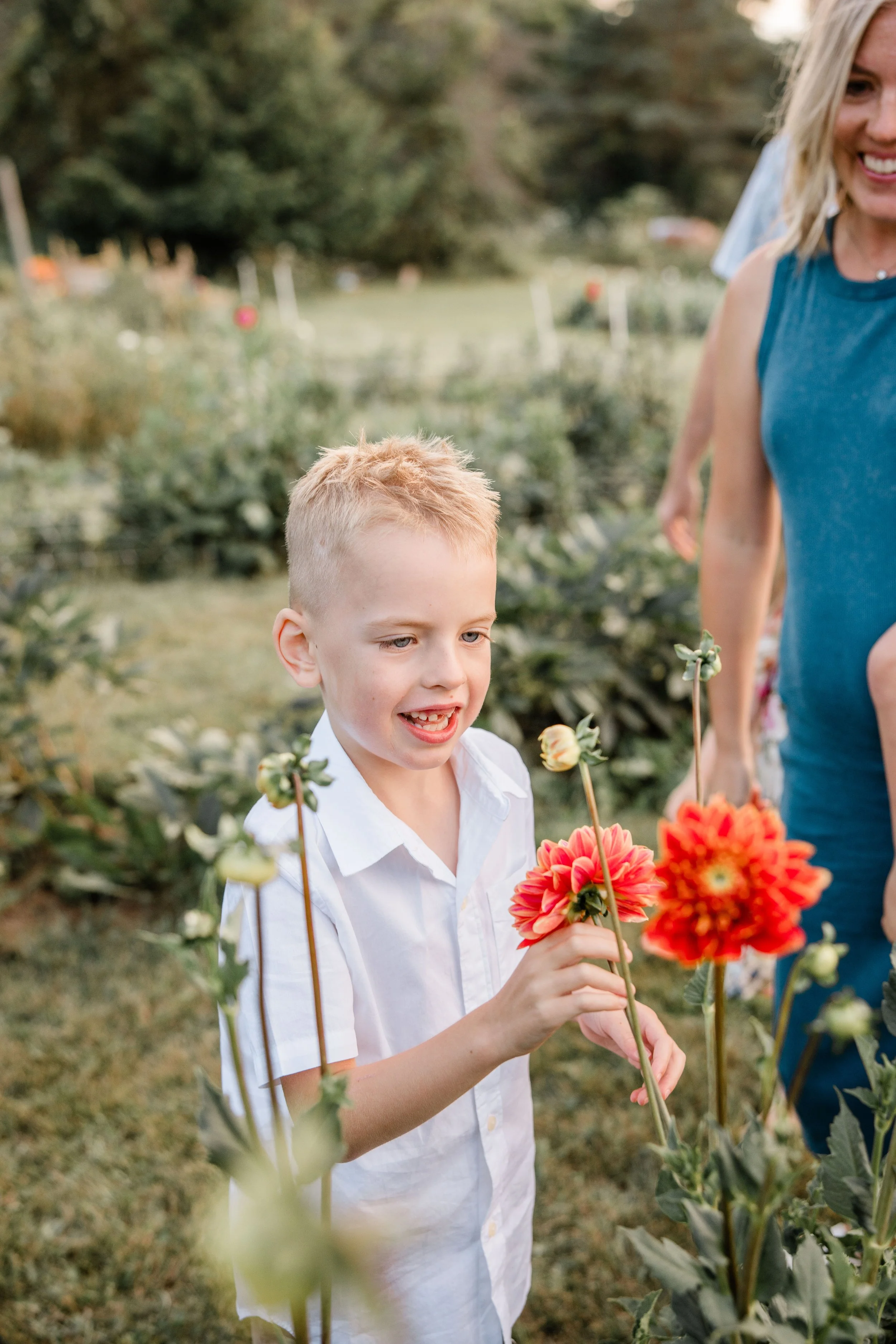 Flower Field Minis 2024-5.jpg