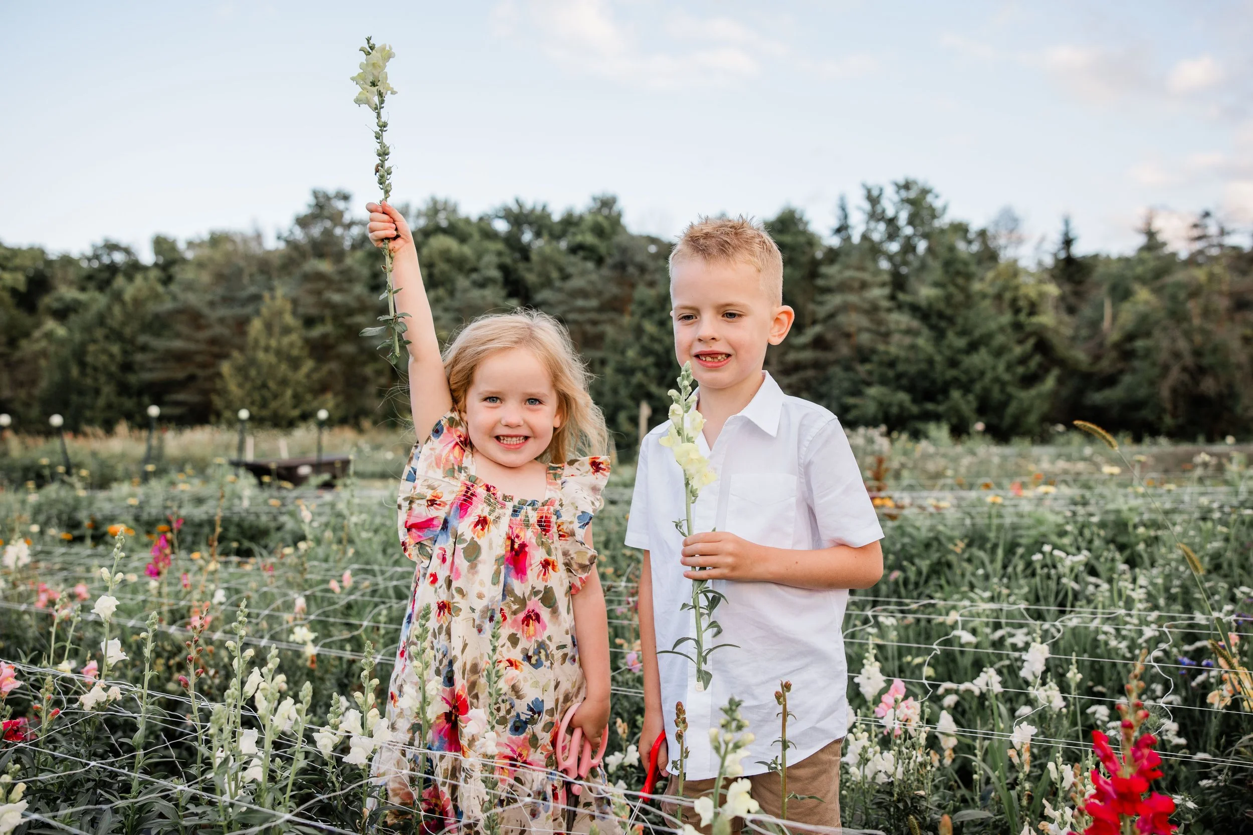 Flower Field Minis 2024-11.jpg