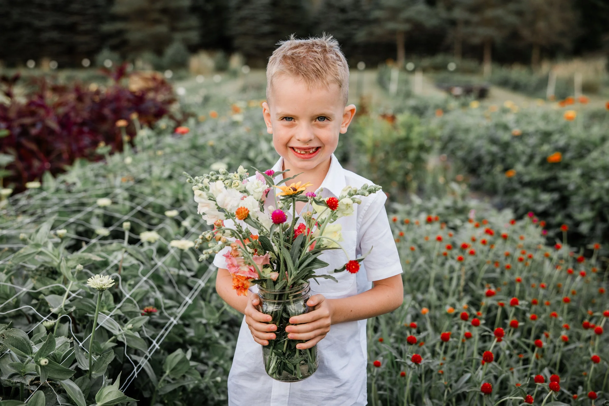 Flower Field Minis 2024-14.jpg