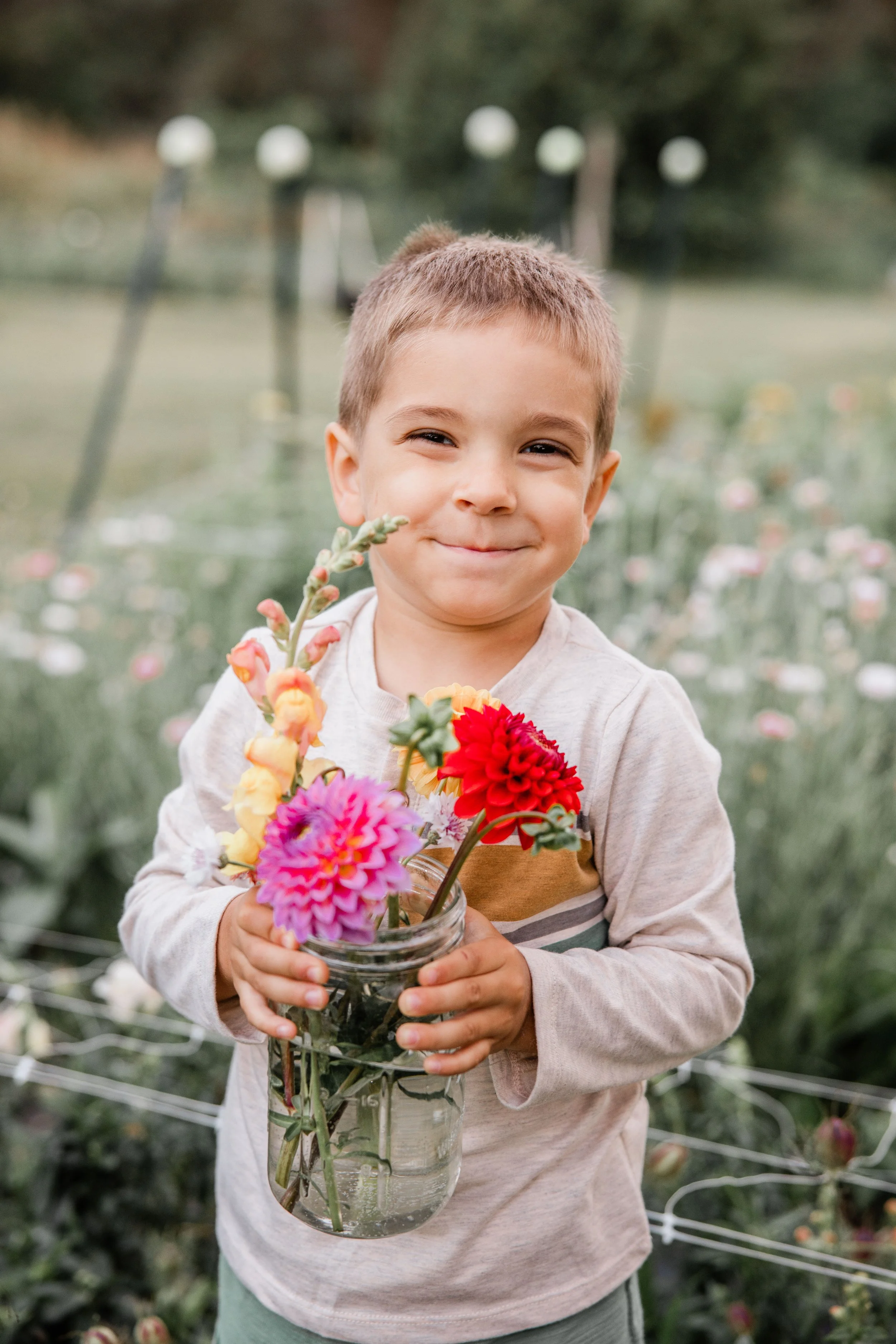 Flower Field Minis 2024-7.jpg