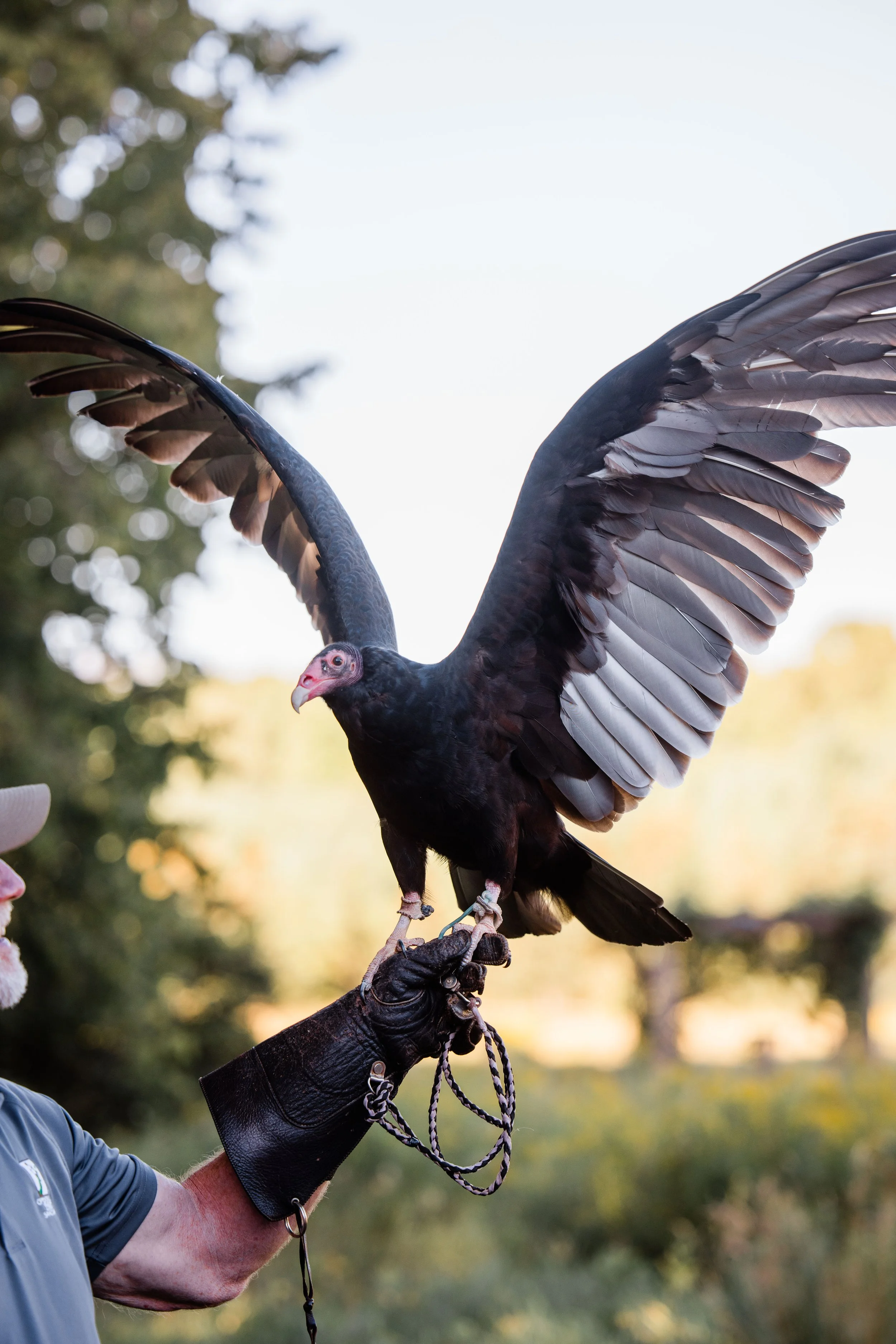 Jenna and Ryan-101.jpg