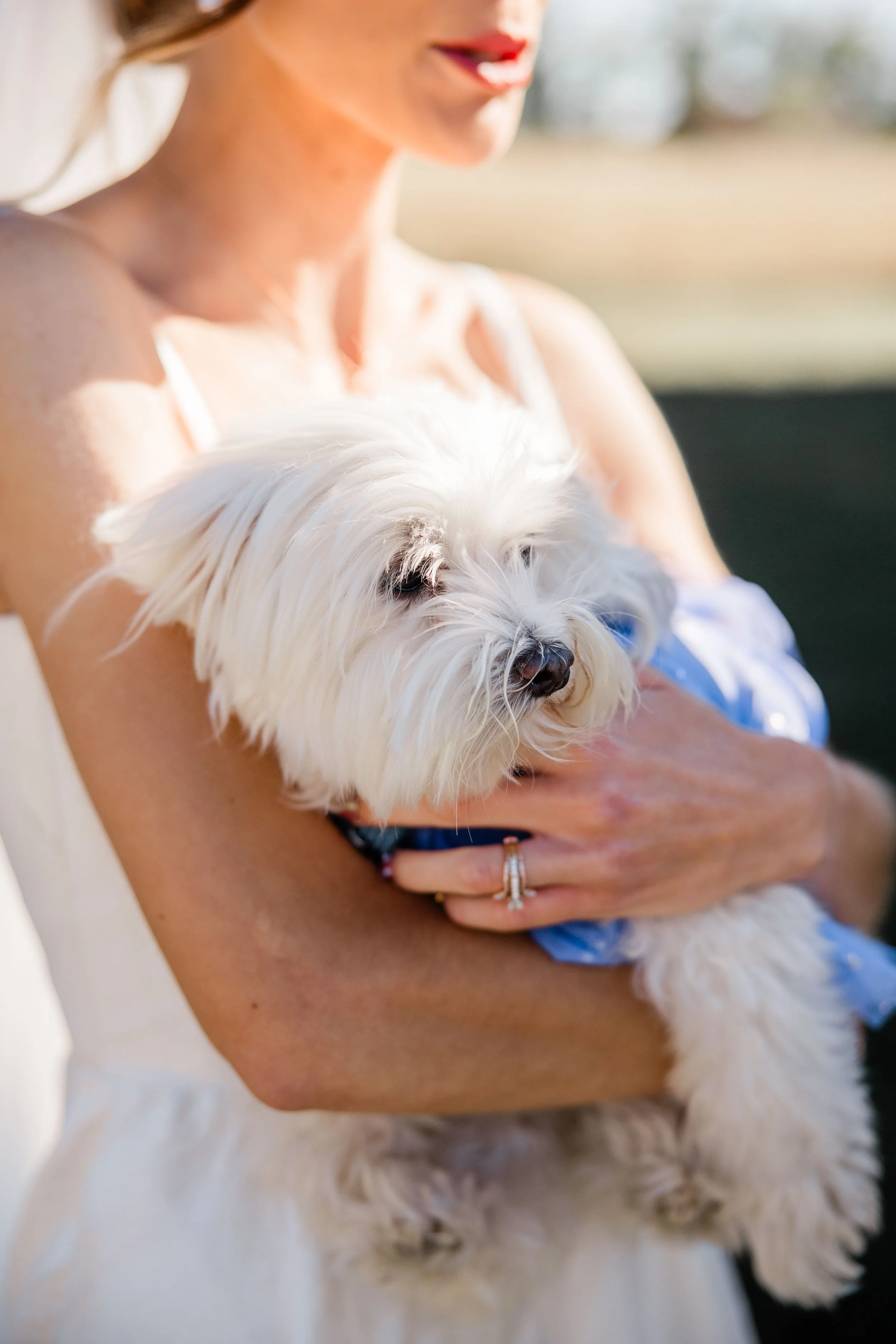 Alex and Lauren Wedding-67.jpg