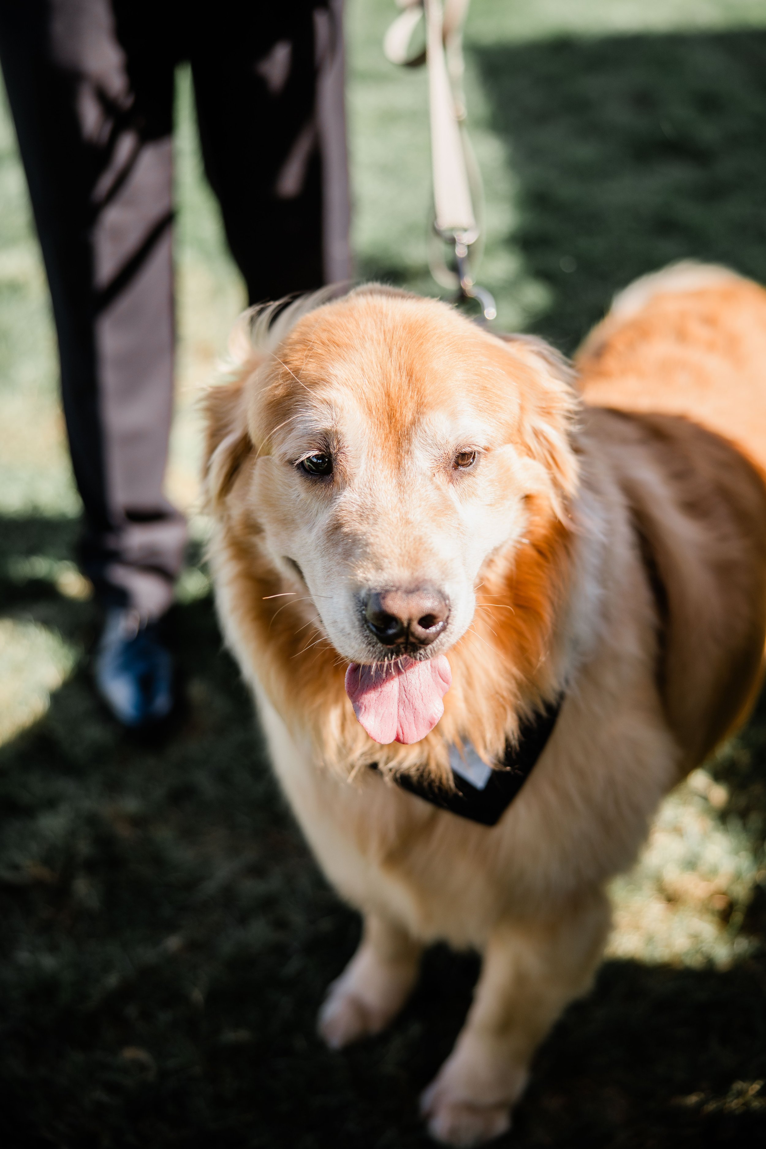 Jelena and Jacob Wedding-86.jpg
