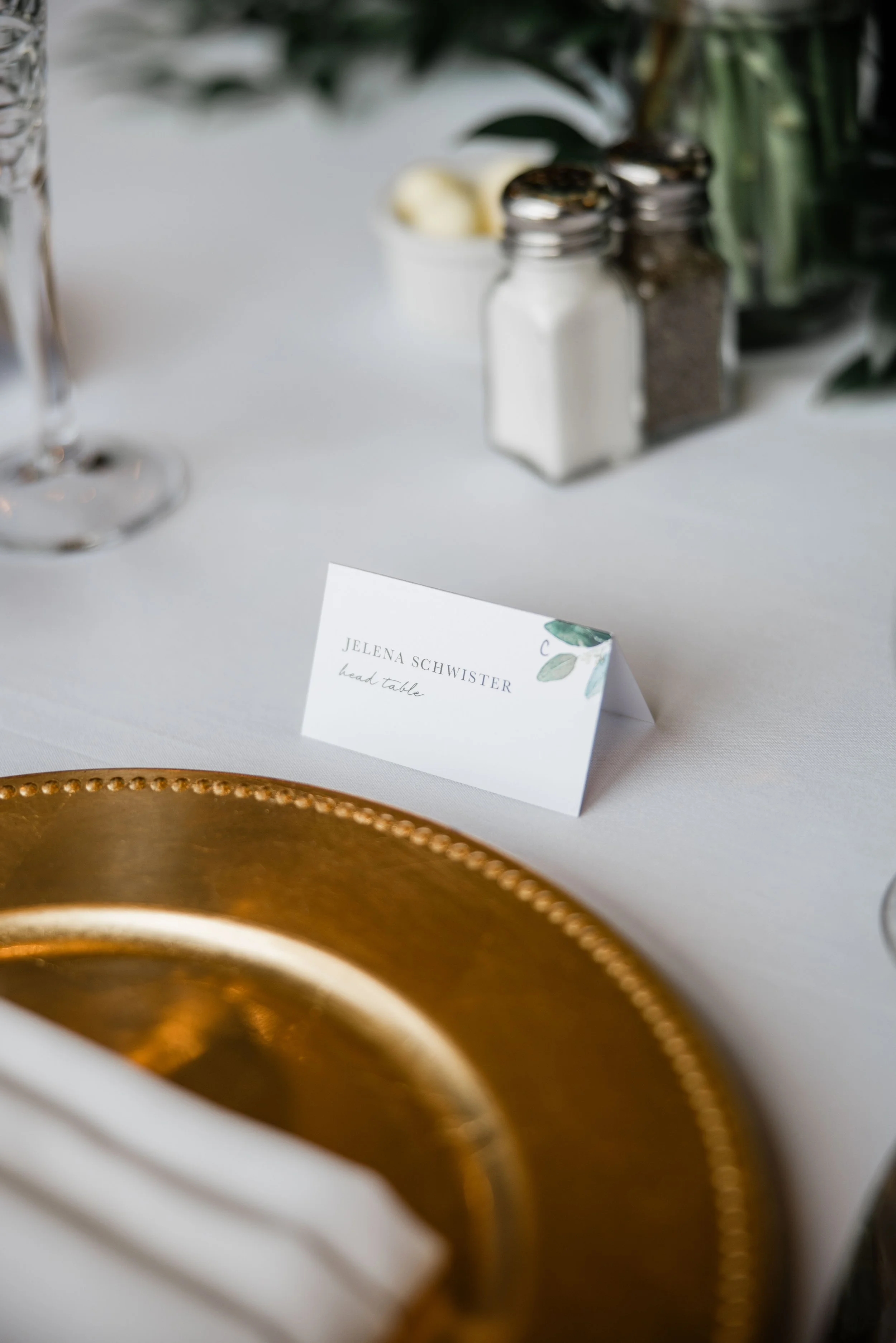 Jelena and Jacob Wedding-135.jpg