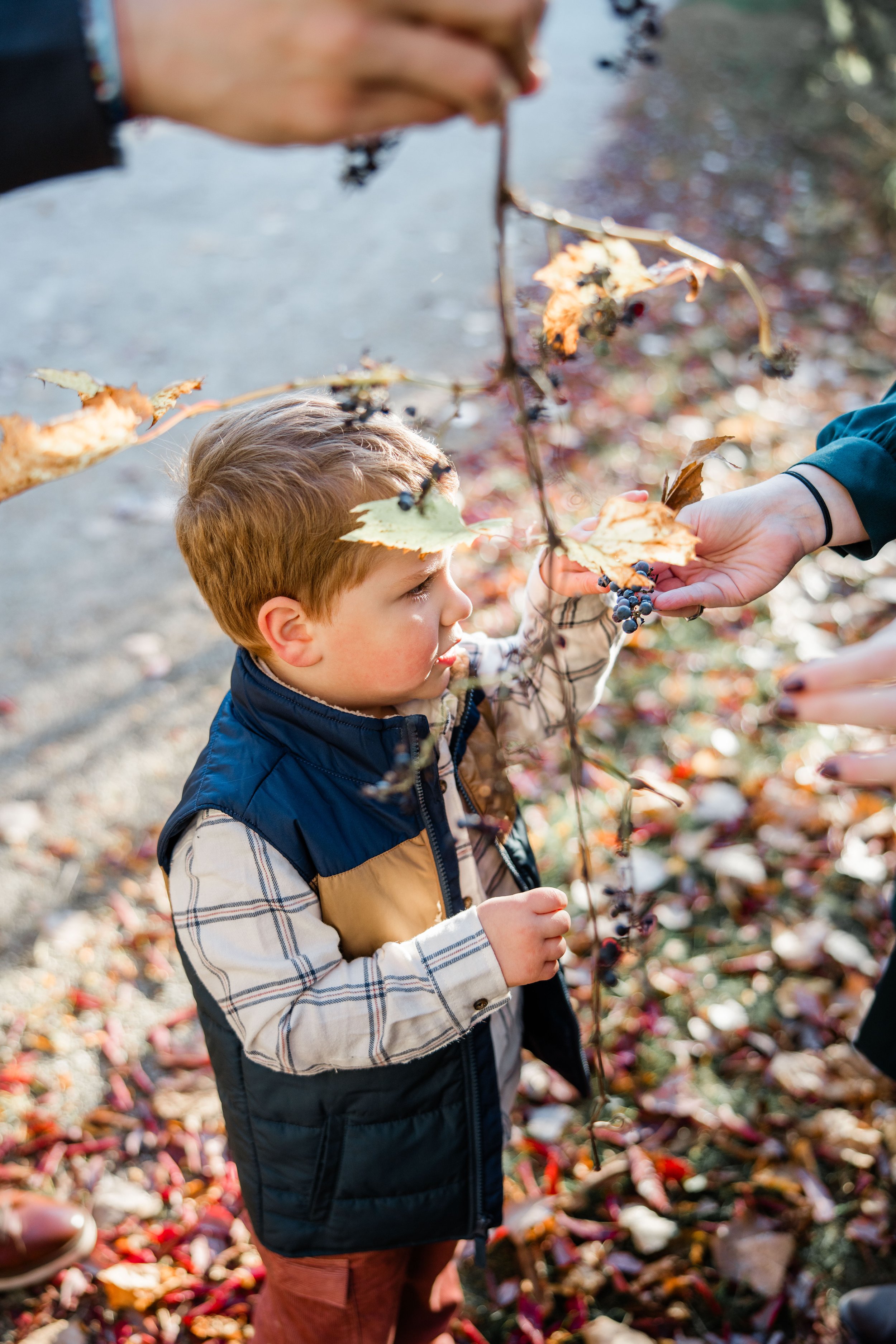 Stout Family Fall Photos 2025-4.jpg