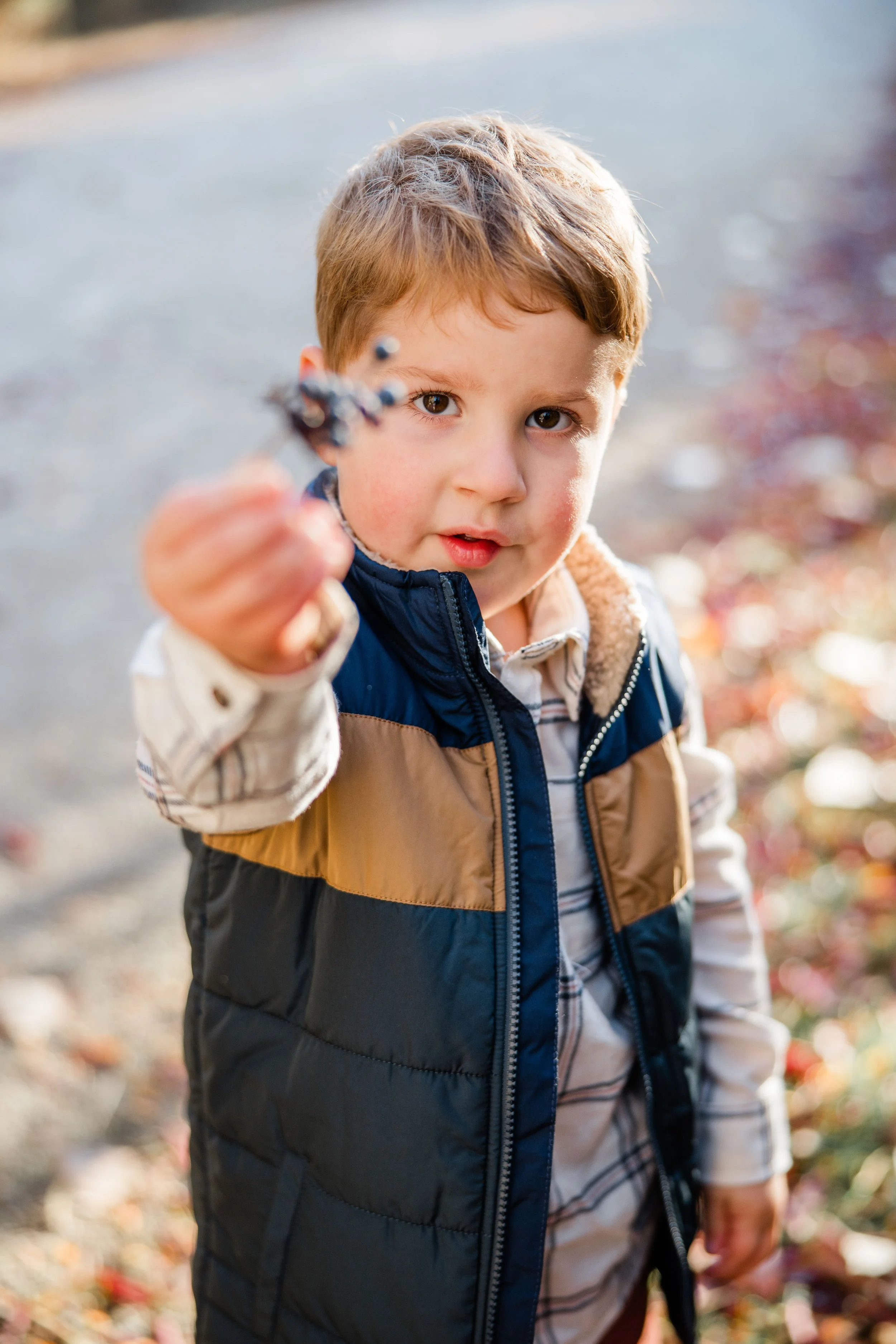 Stout Family Fall Photos 2025-5.jpg