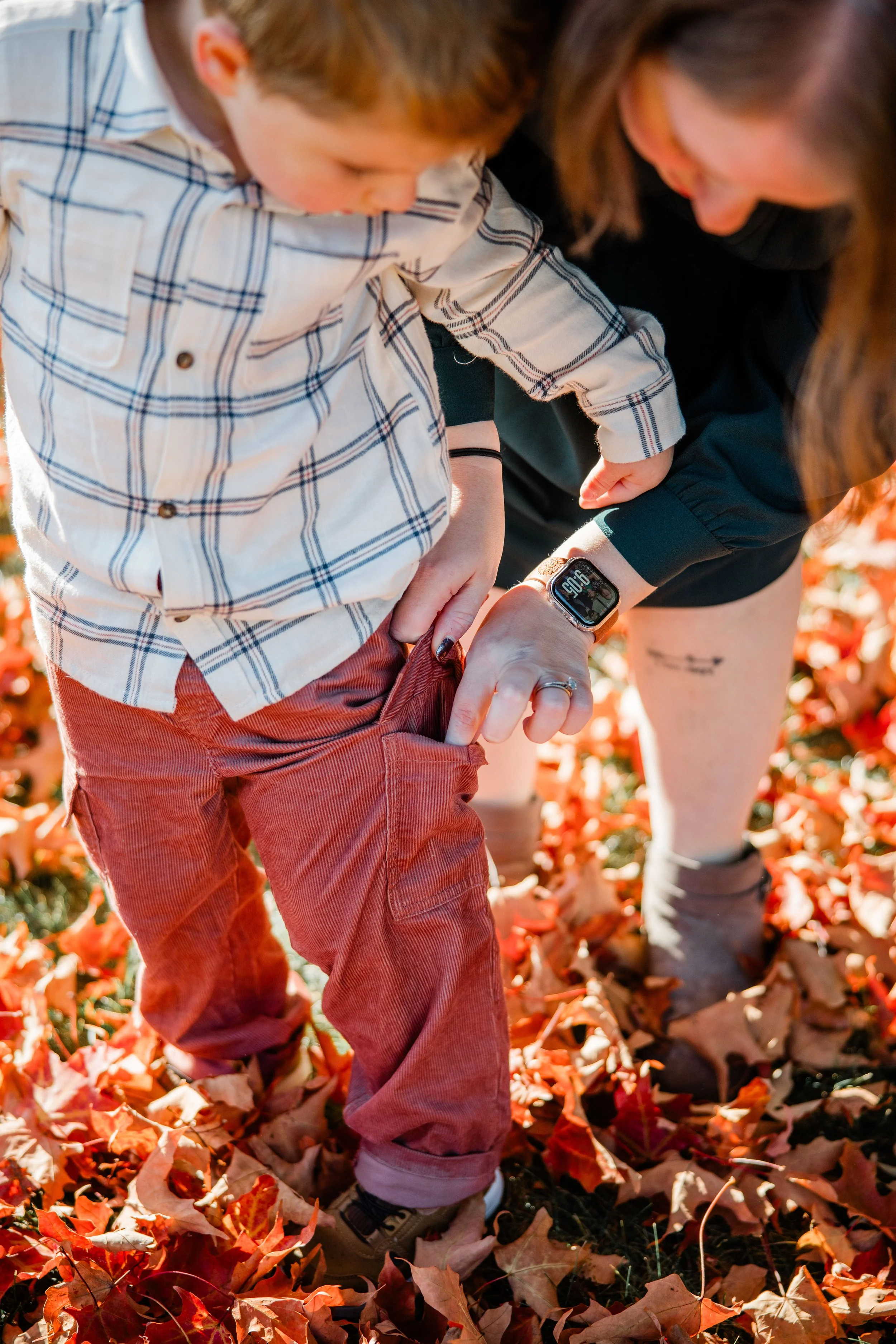 Stout Family Fall Photos 2025-29.jpg
