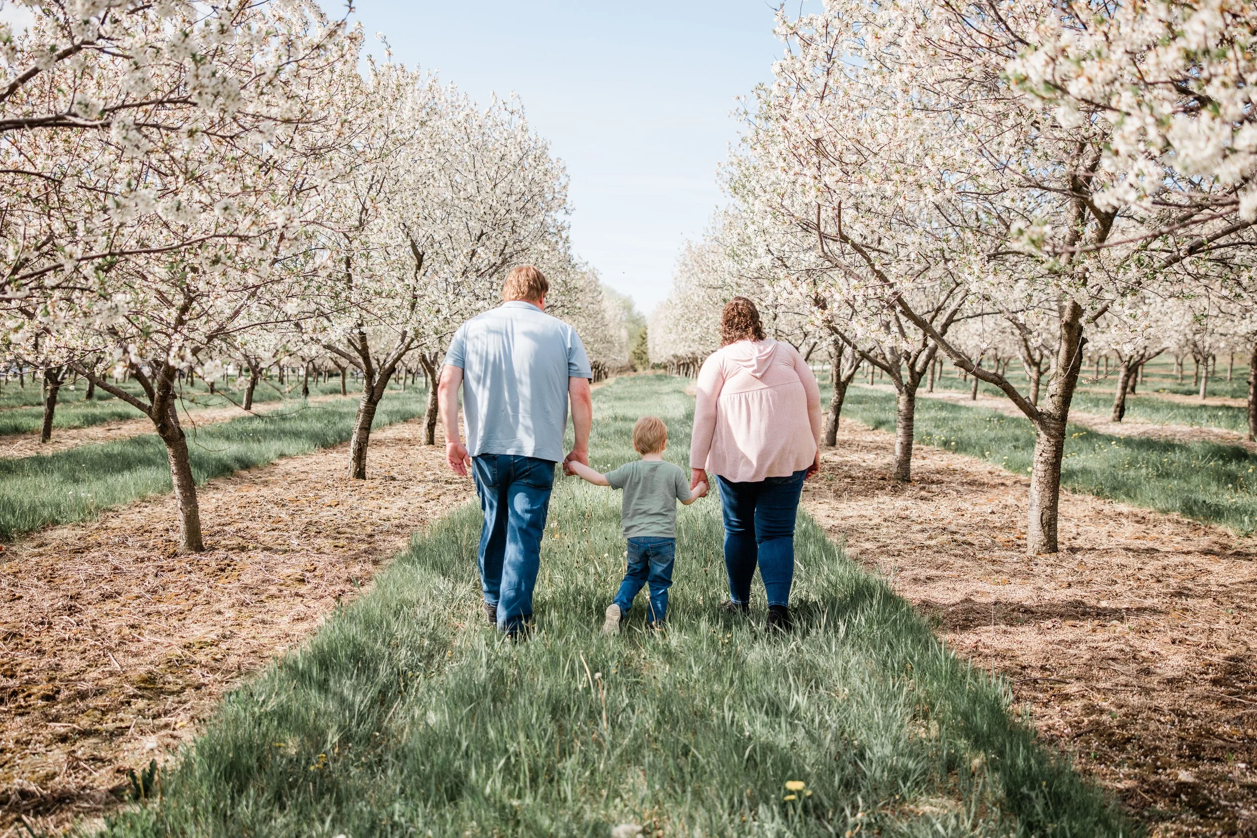 Donovan Family Cherry Blossom Mini Session-5.jpg