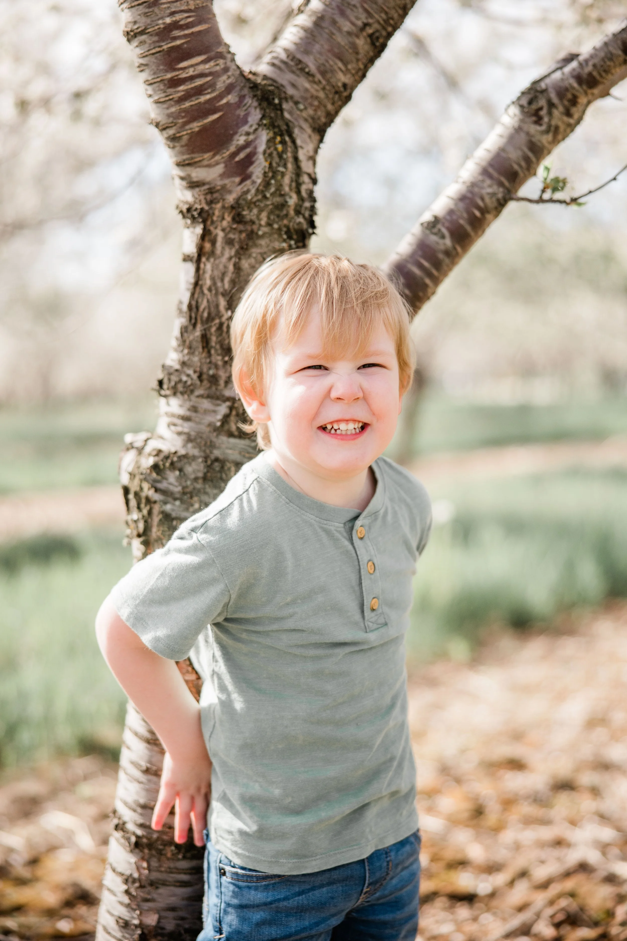 Donovan Family Cherry Blossom Mini Session-7.jpg