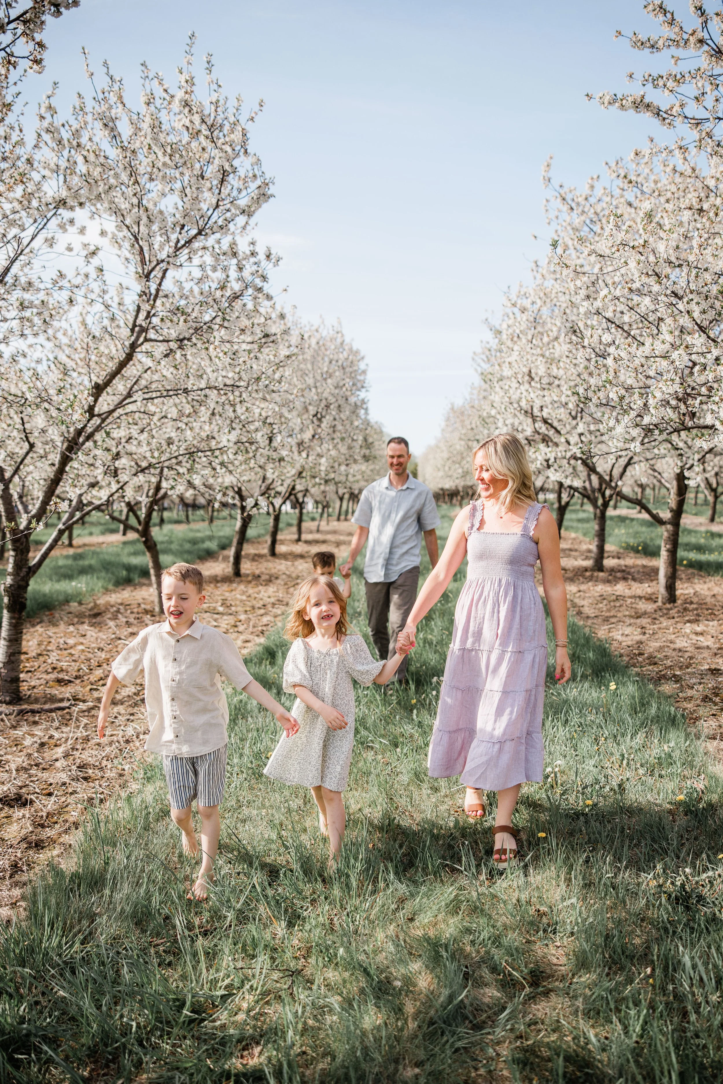 Quandt Family Cherry Blossom Mini Session 2026-9.jpg