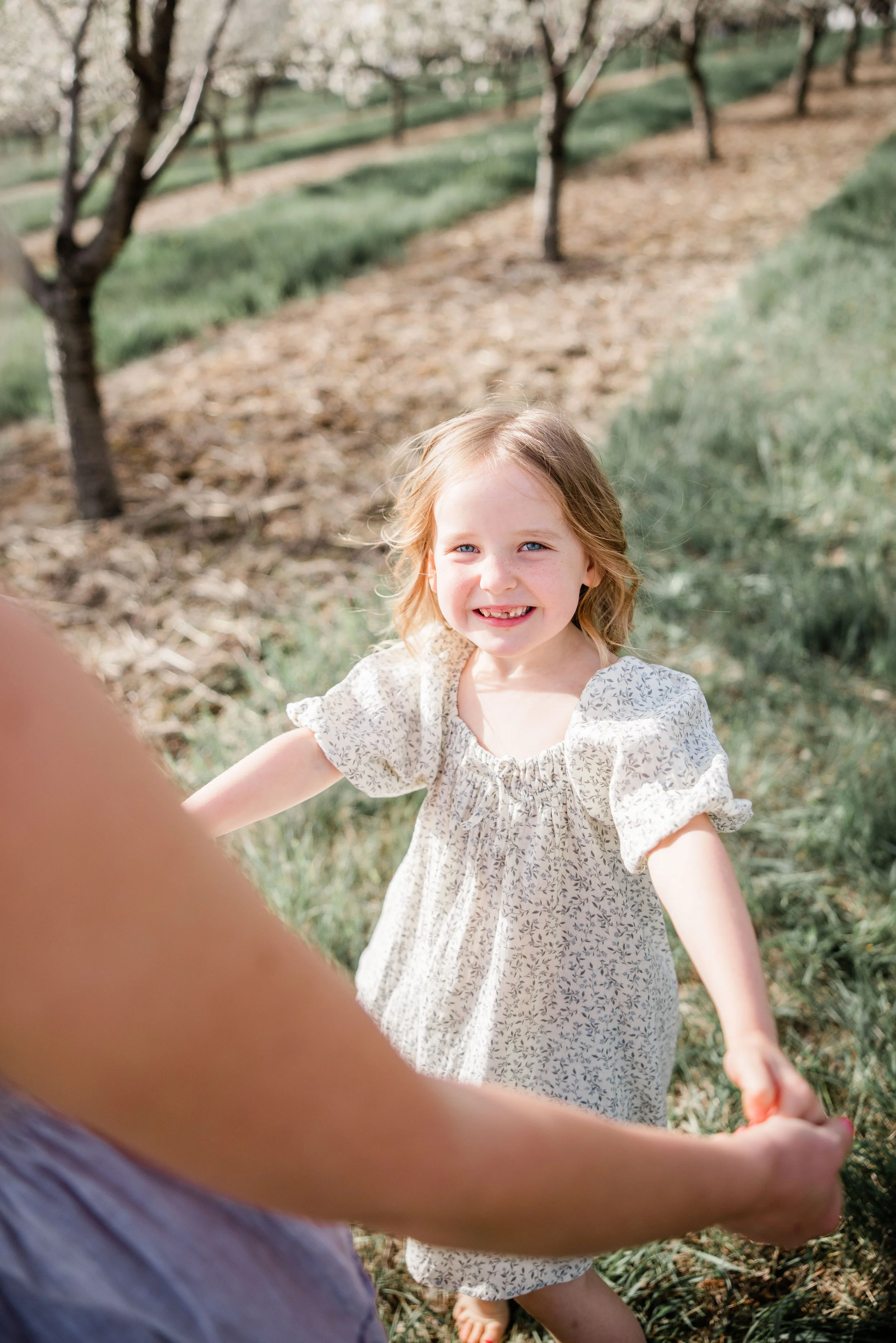 Quandt Family Cherry Blossom Mini Session 2026-11.jpg