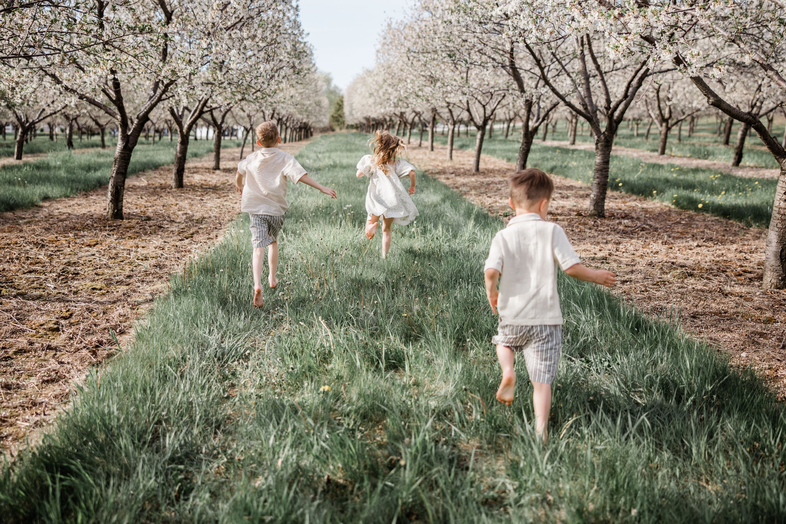 Quandt Family Cherry Blossom Mini Session 2026-19.jpg