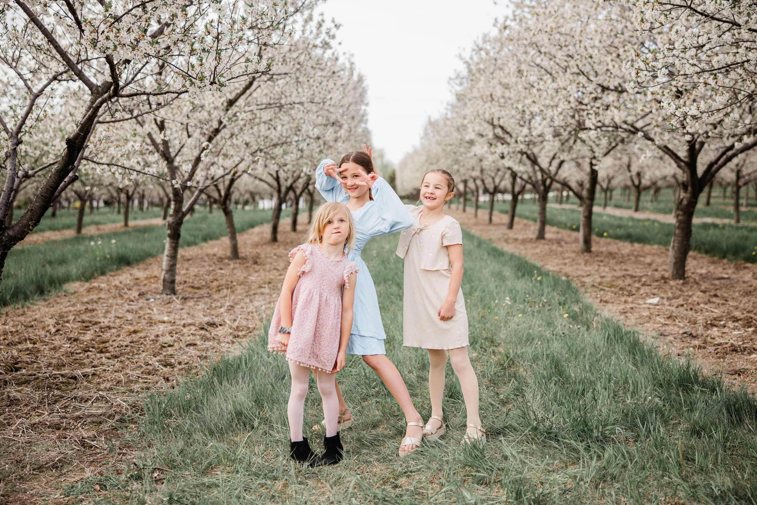 Kraynak Family Cherry Blossom Mini-4.jpg