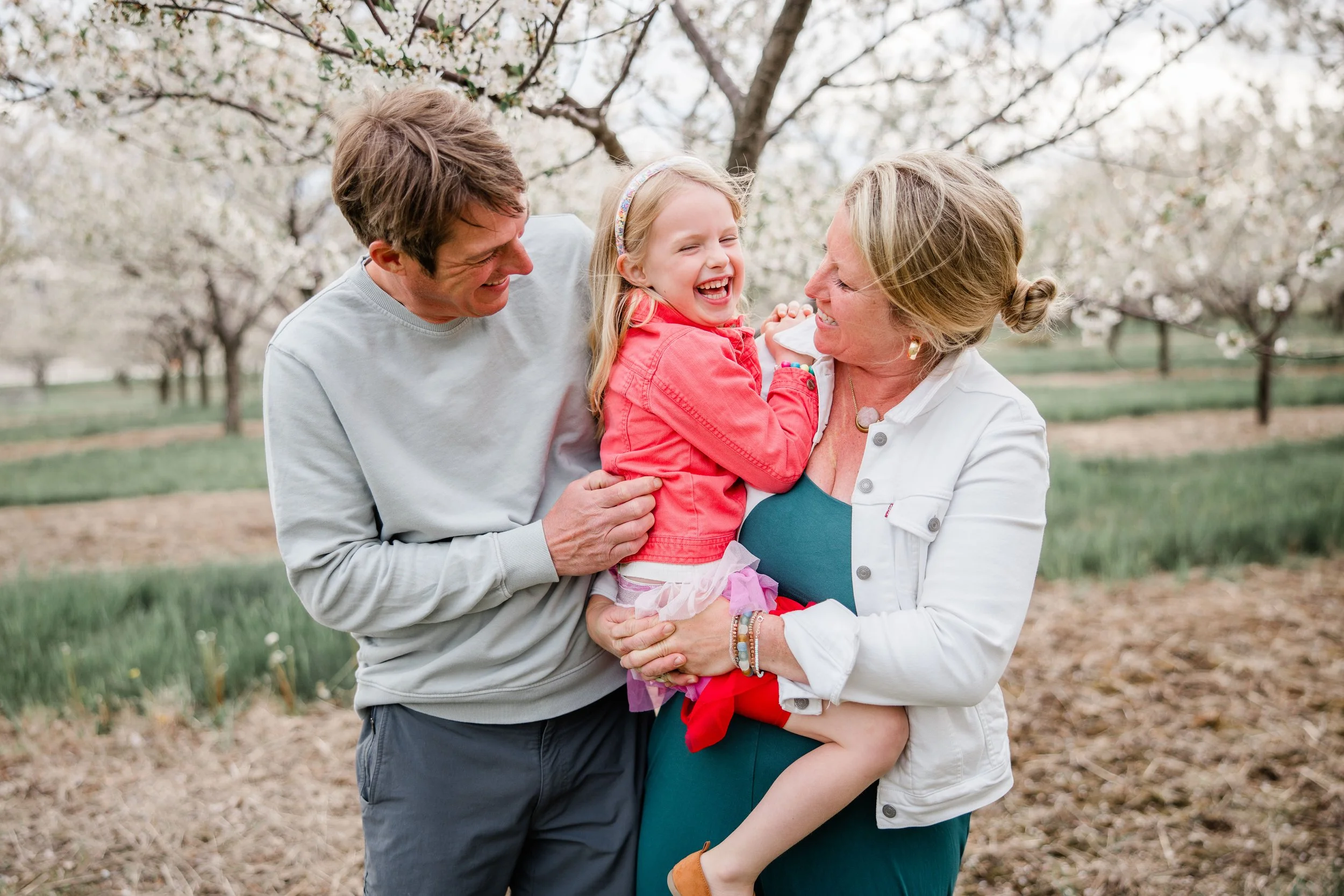 Reinke Cherry Blossom 2026-2.jpg