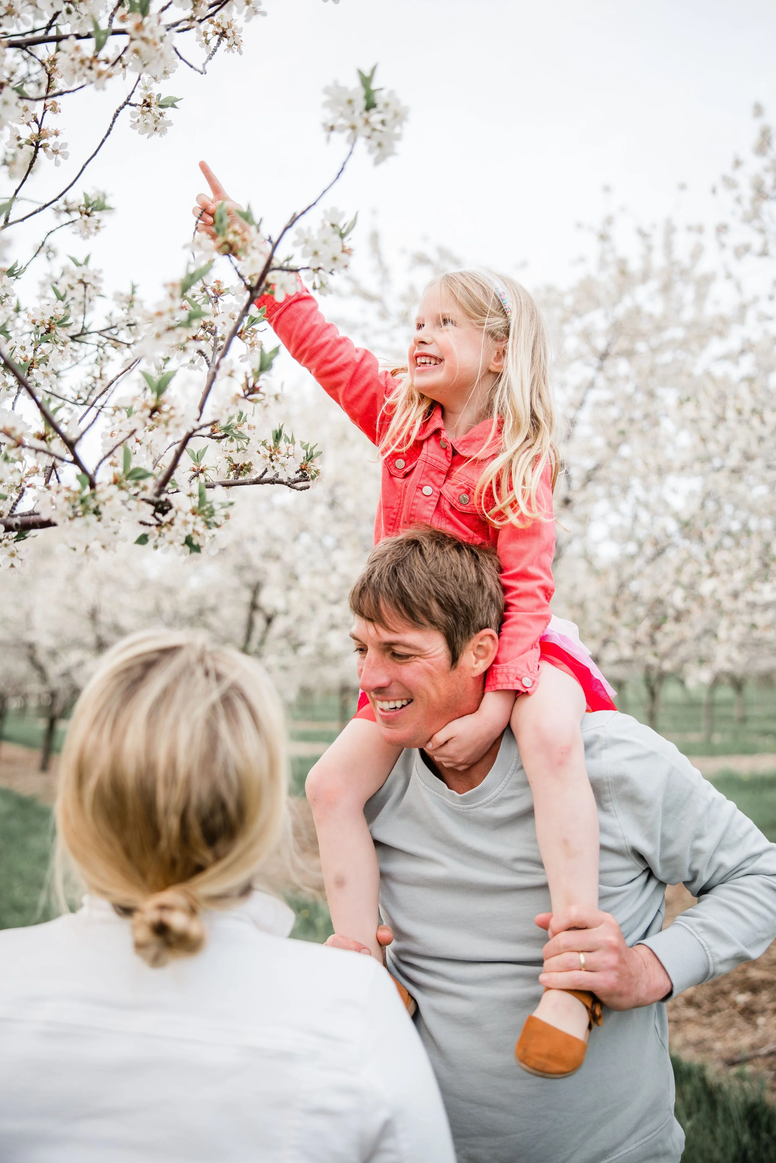 Reinke Cherry Blossom 2026-7.jpg