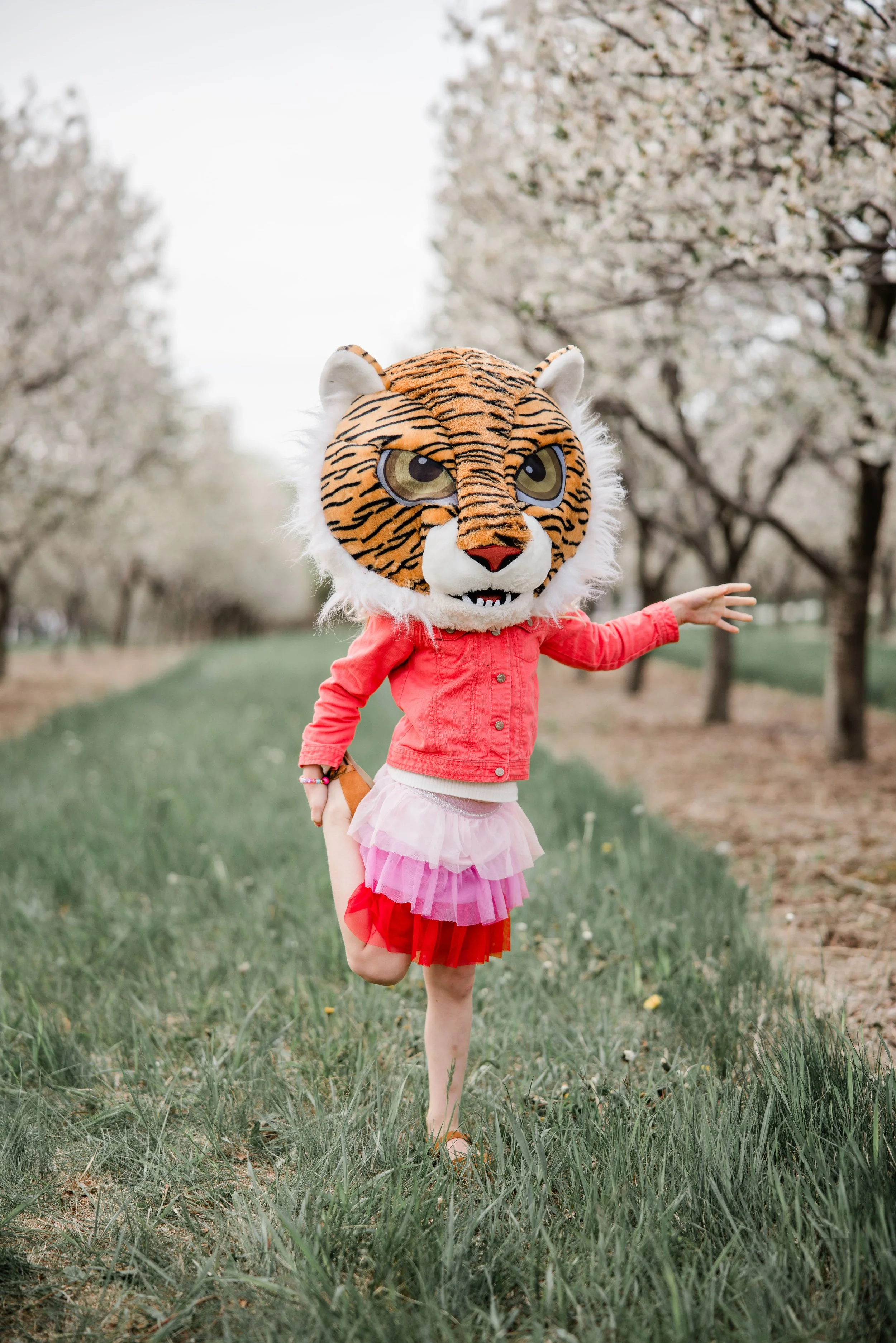 Reinke Cherry Blossom 2026-9.jpg