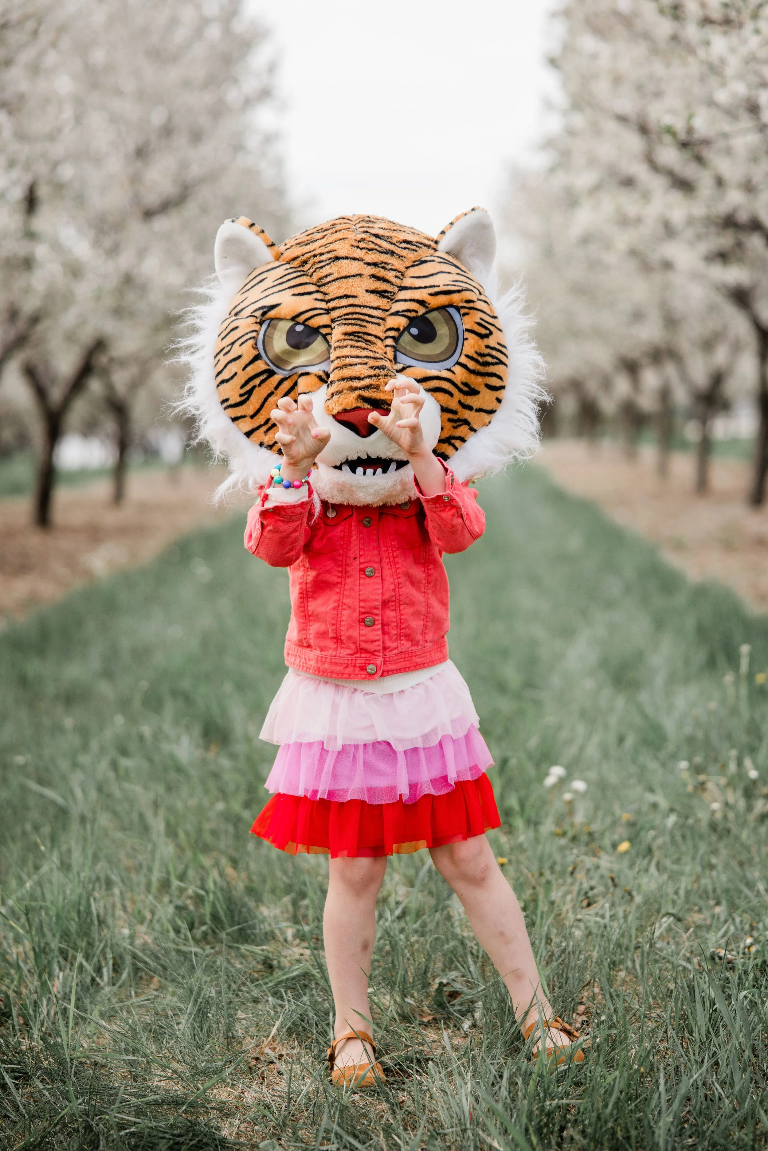 Reinke Cherry Blossom 2026-10.jpg