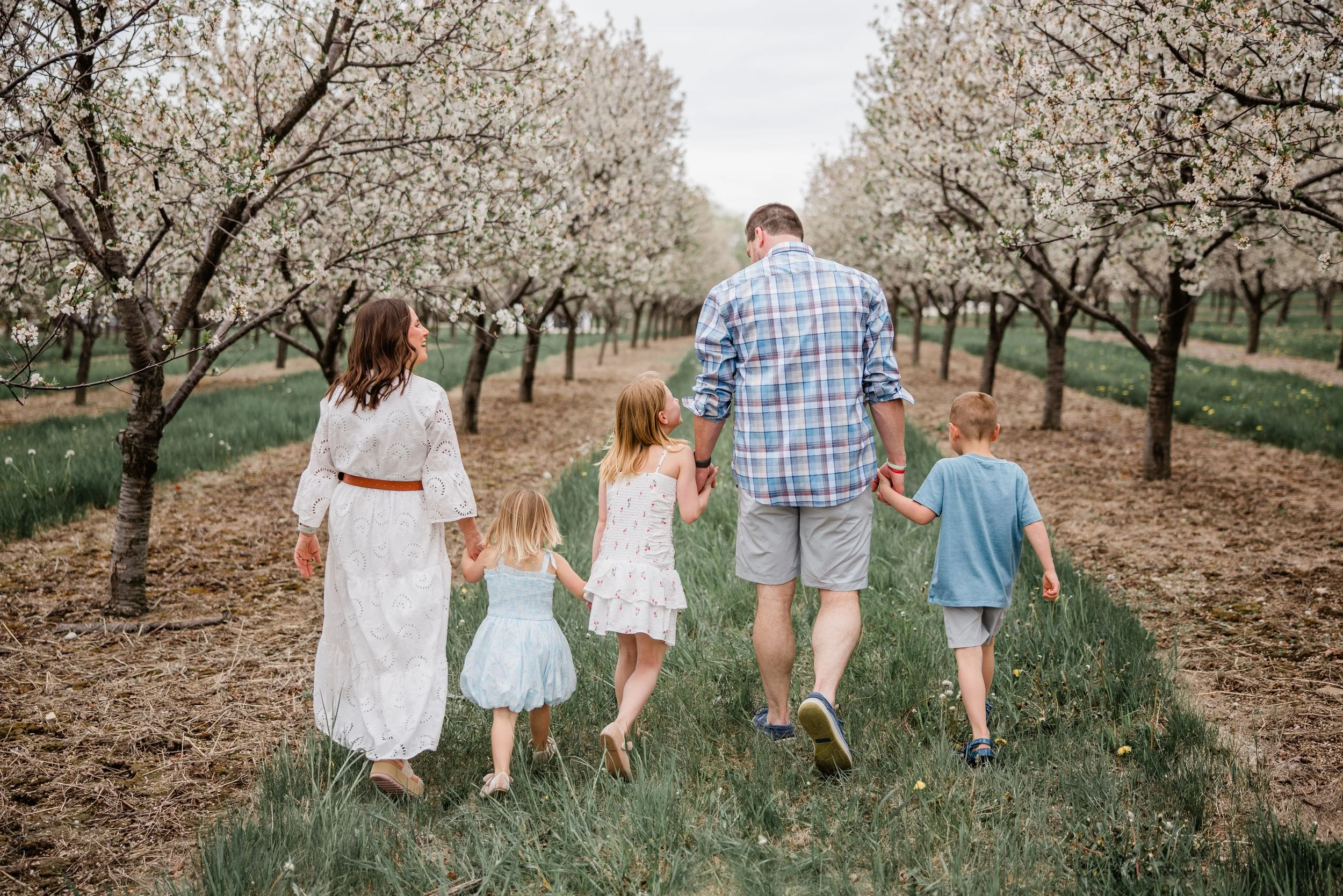 Thomas Cherry Blossom 2026-6.jpg