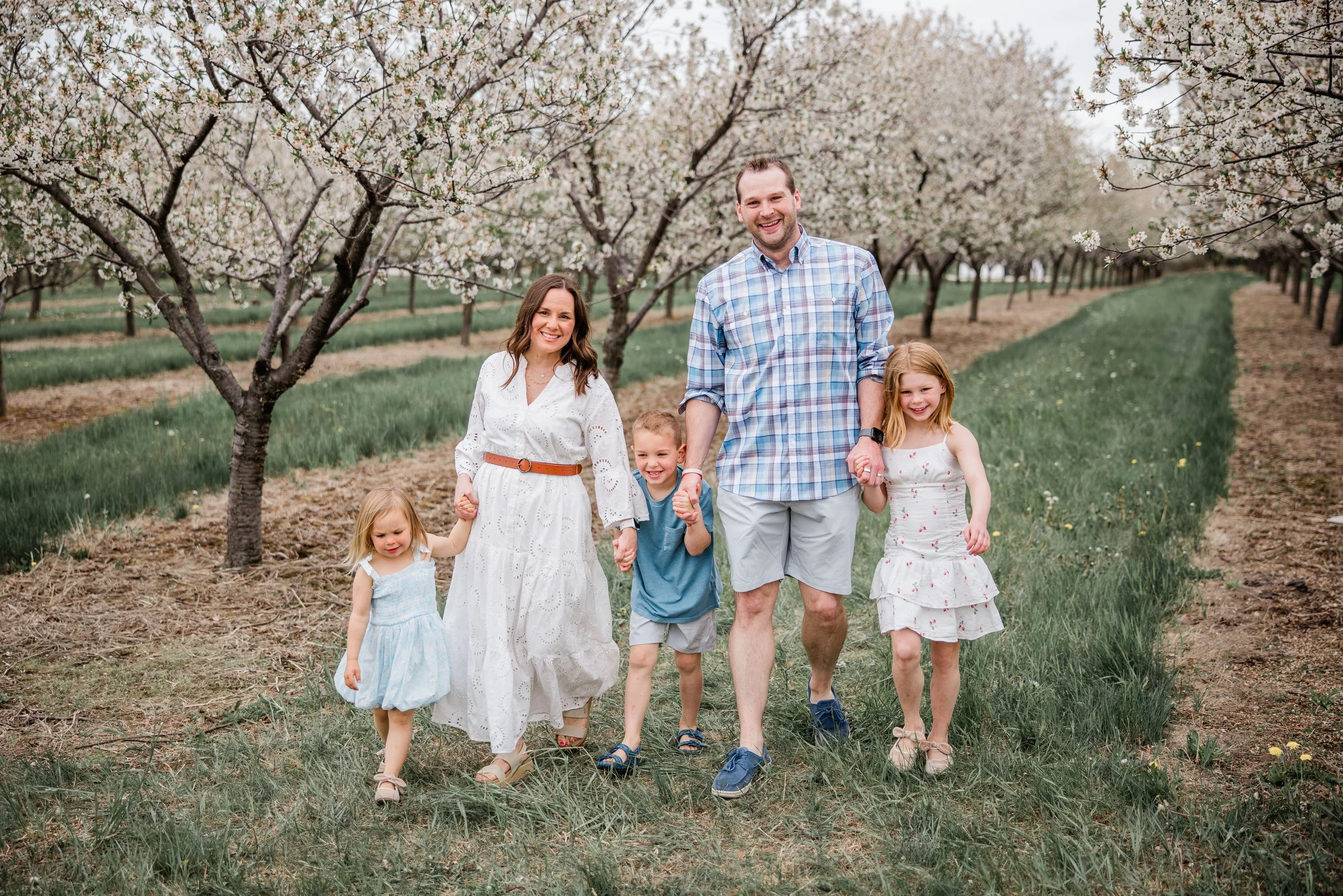 Thomas Cherry Blossom 2026-7.jpg