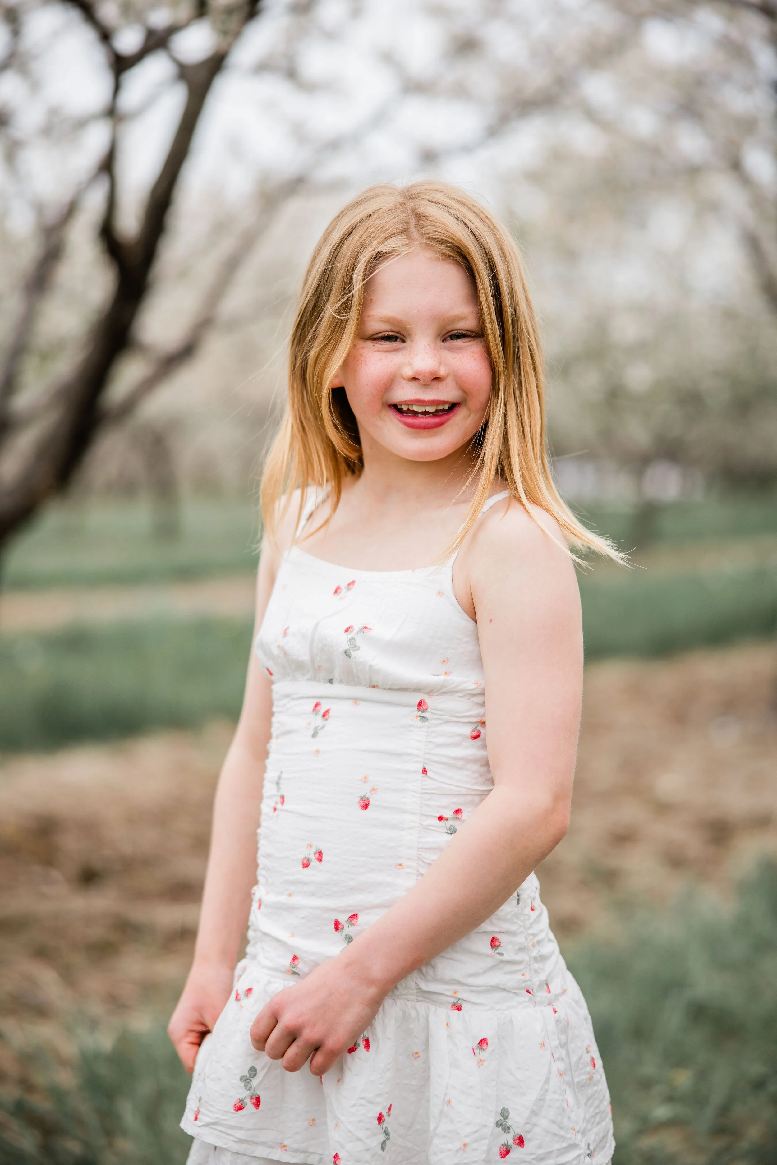 Thomas Cherry Blossom 2026-12.jpg