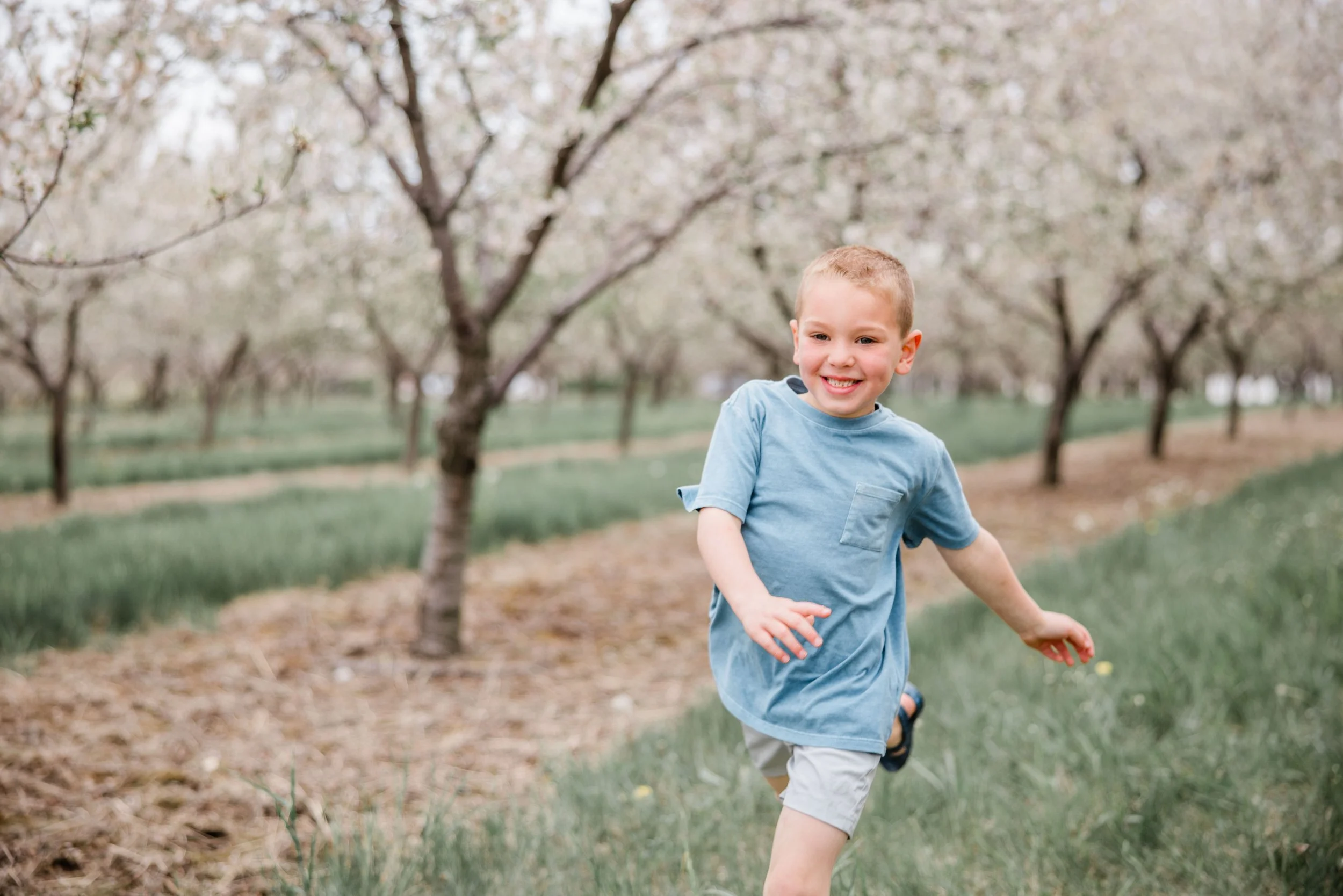 Thomas Cherry Blossom 2026-17.jpg
