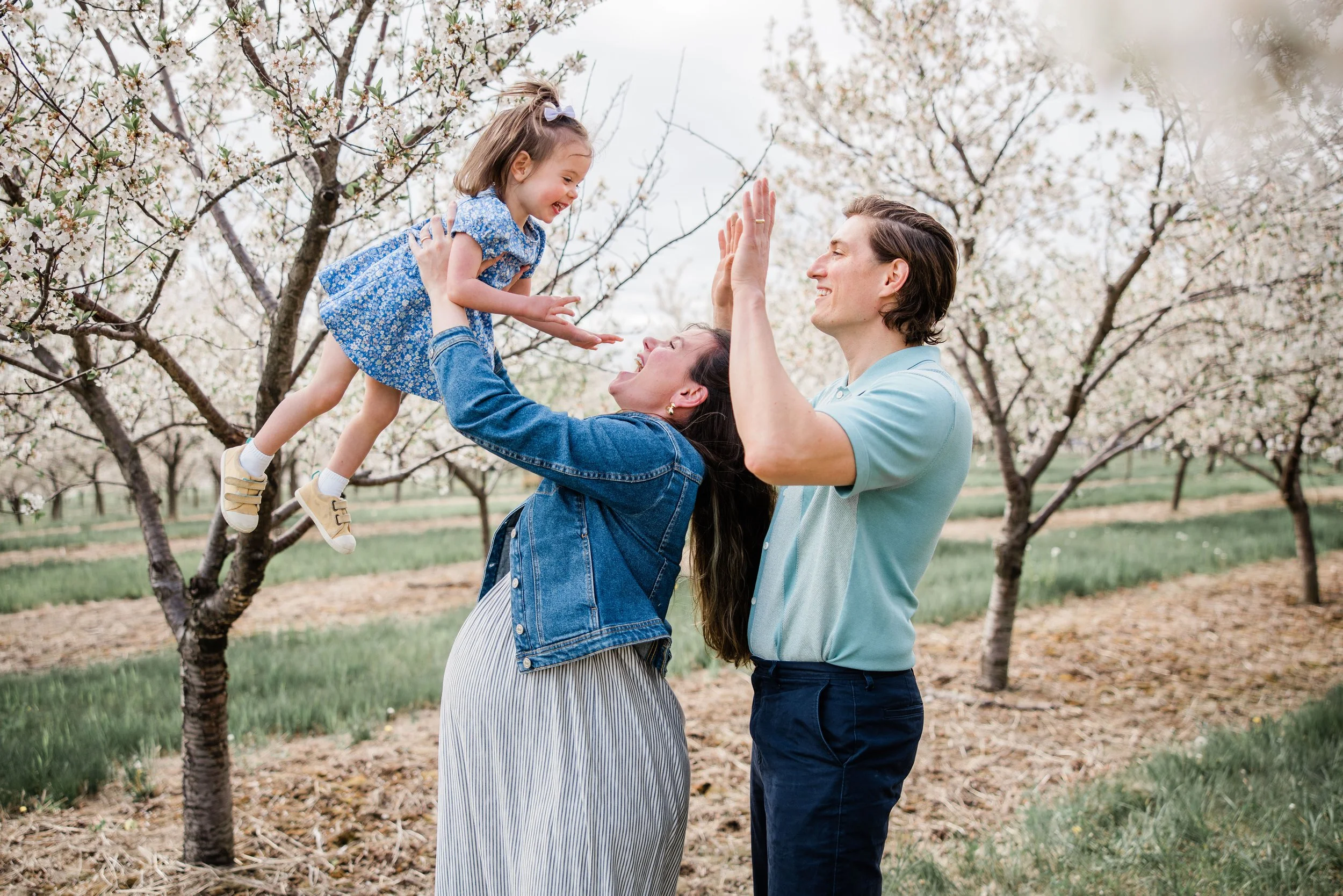 Cherry Blossom Mini Session