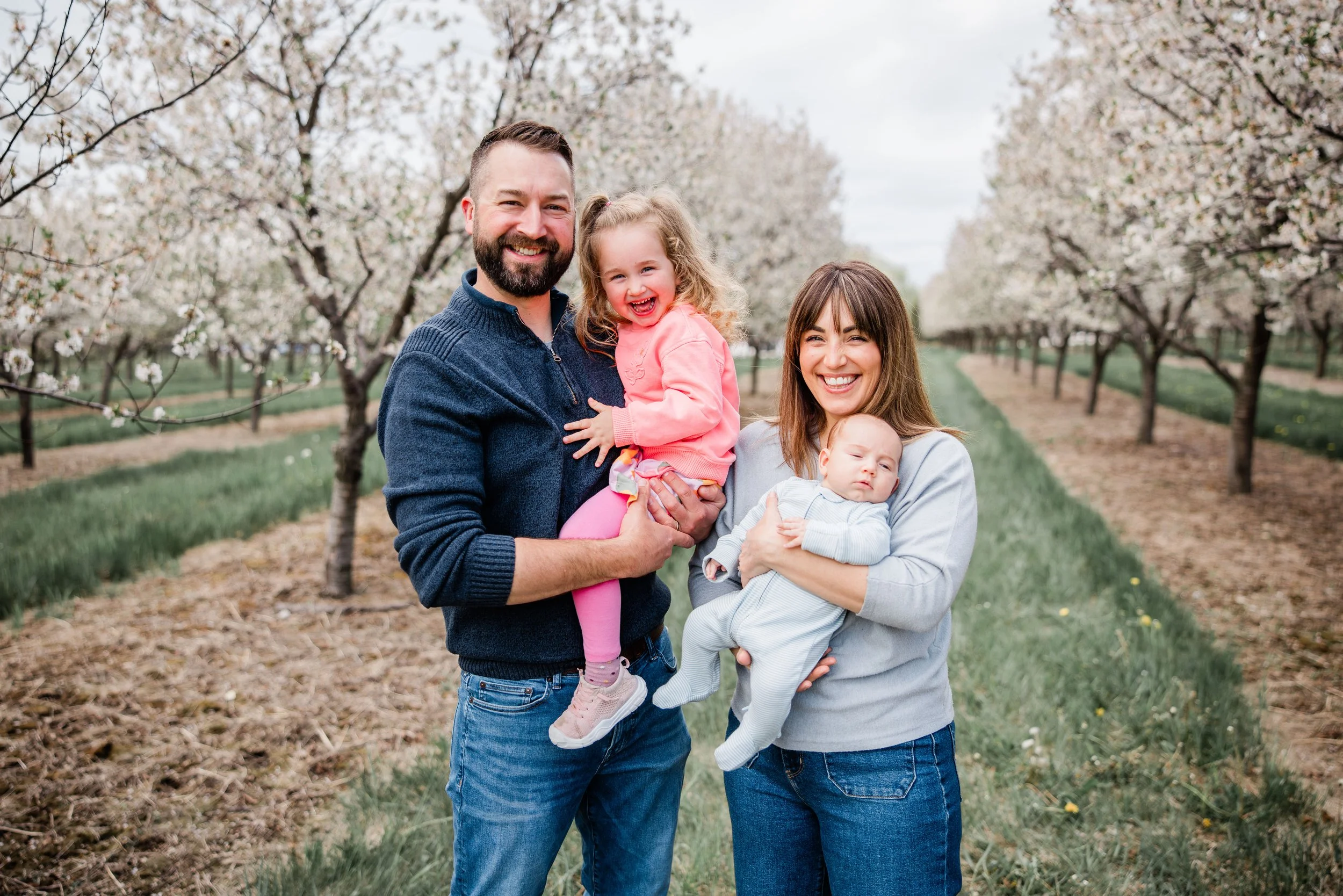 Mead Cherry Blossom 2026-2.jpg