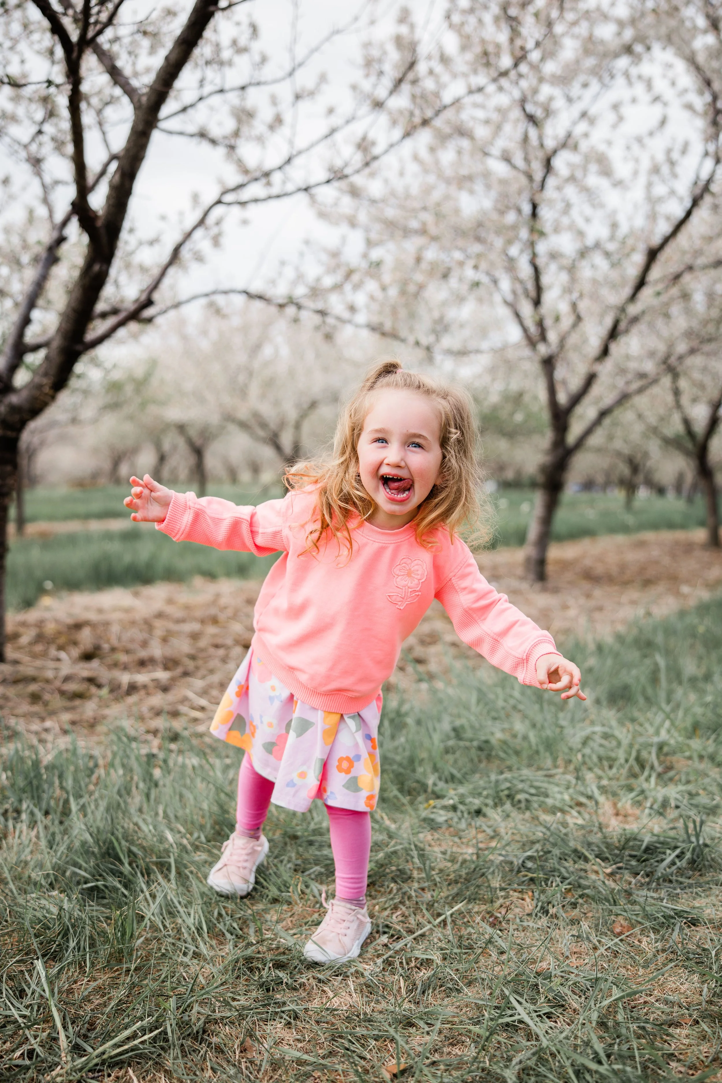 Mead Cherry Blossom 2026-6.jpg