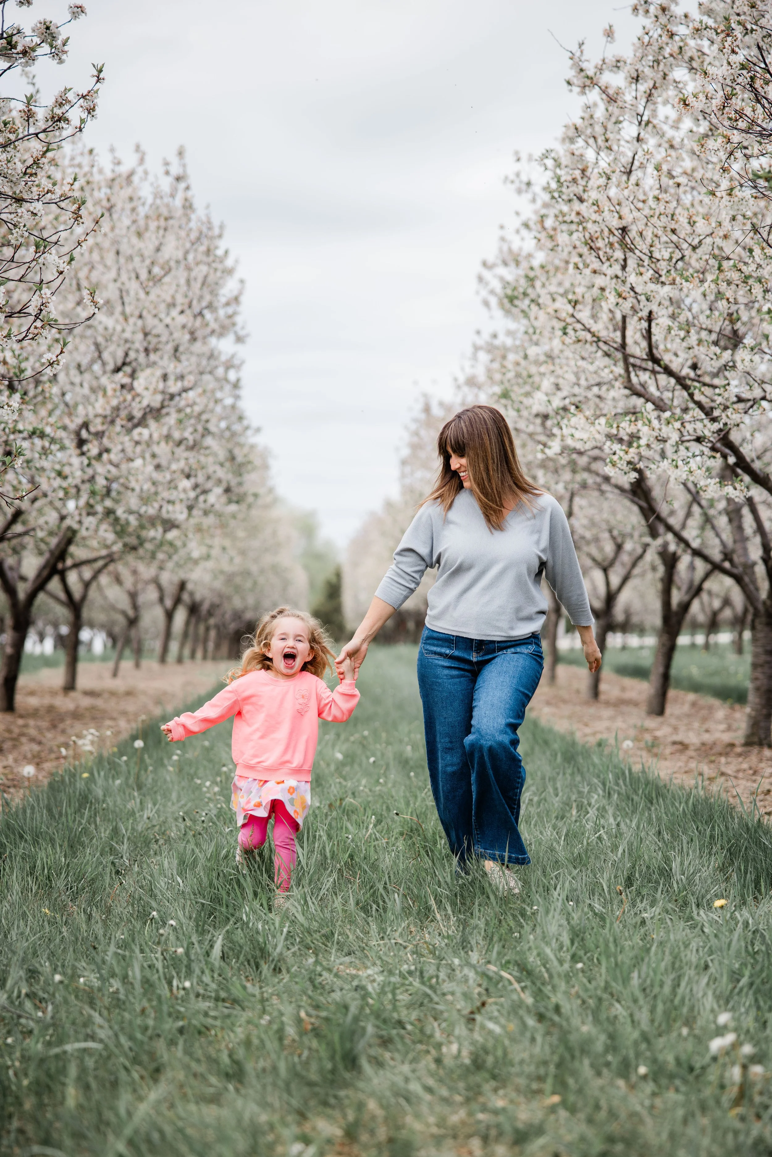 Mead Cherry Blossom 2026-11.jpg