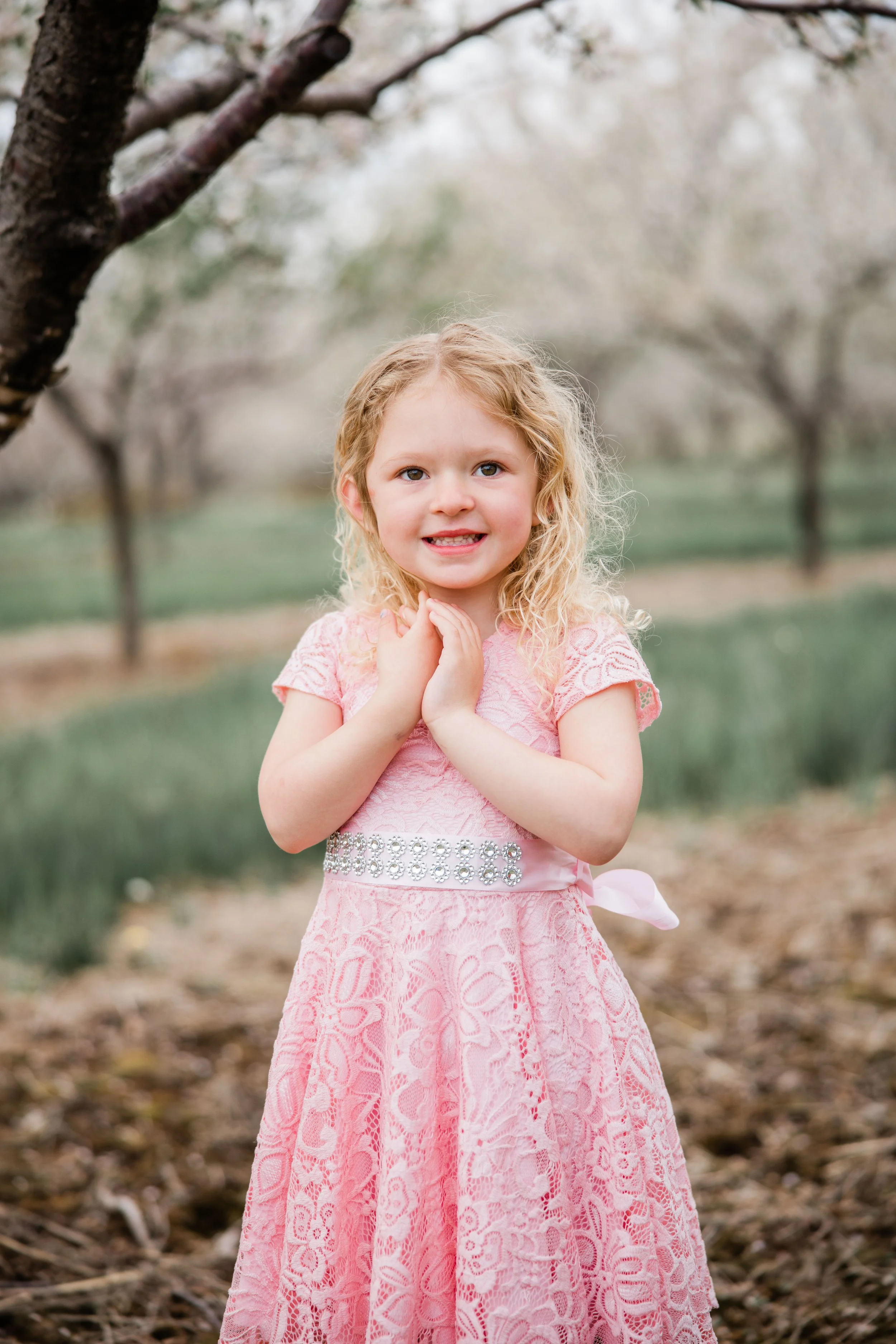 Deloera Cherry Blossom 2026-10.jpg