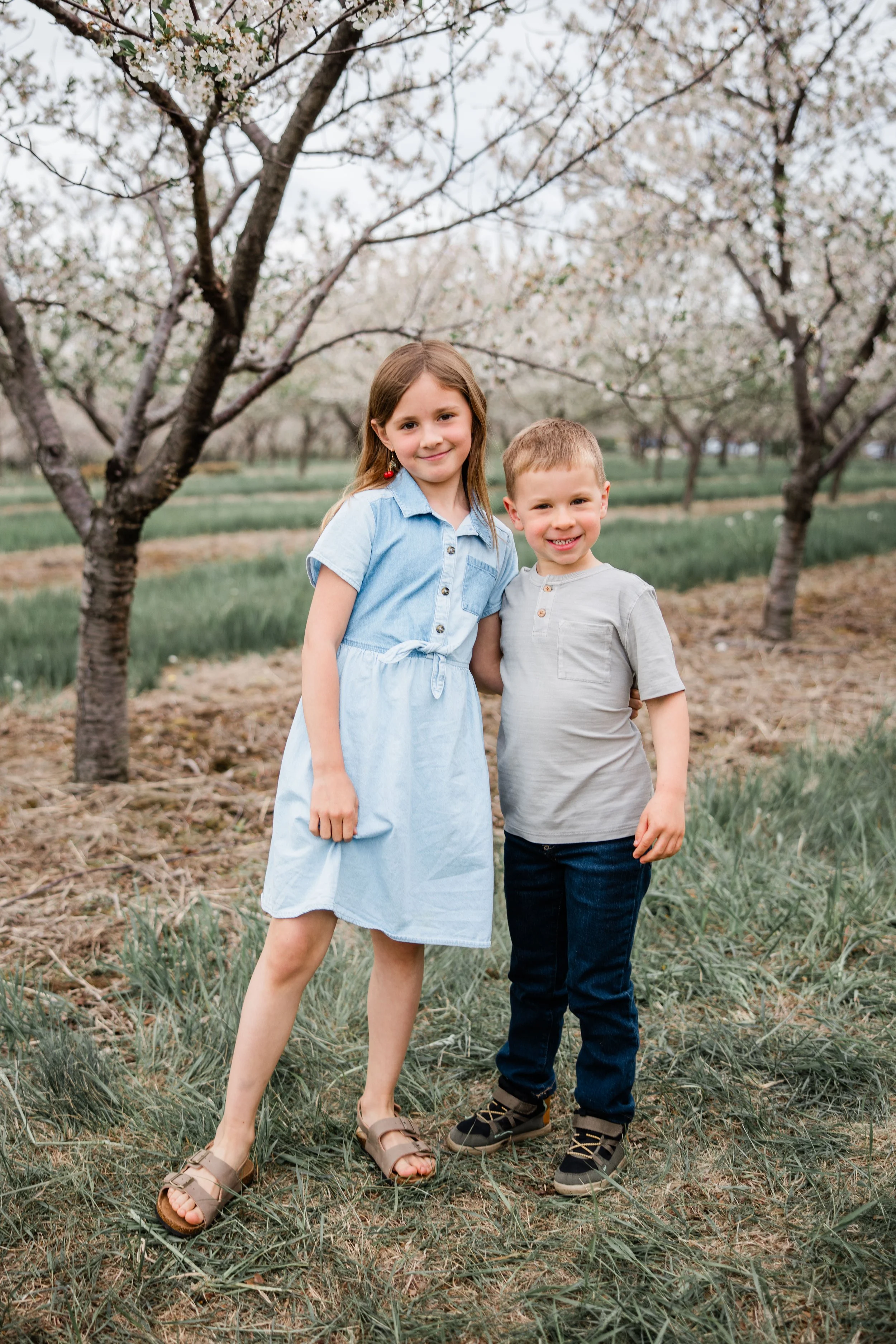 Jacobs Cherry Blossom 2026-6.jpg