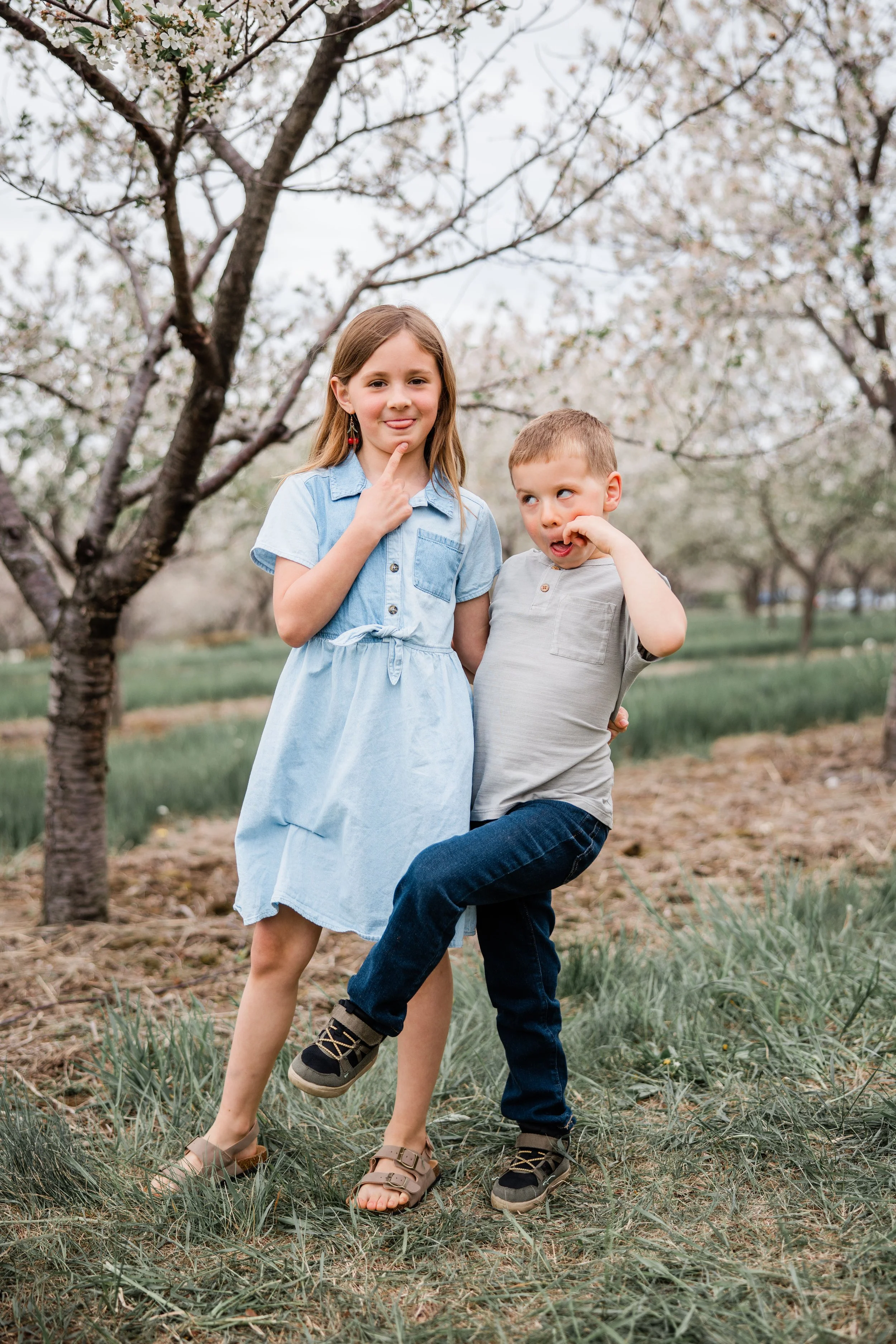 Jacobs Cherry Blossom 2026-7.jpg