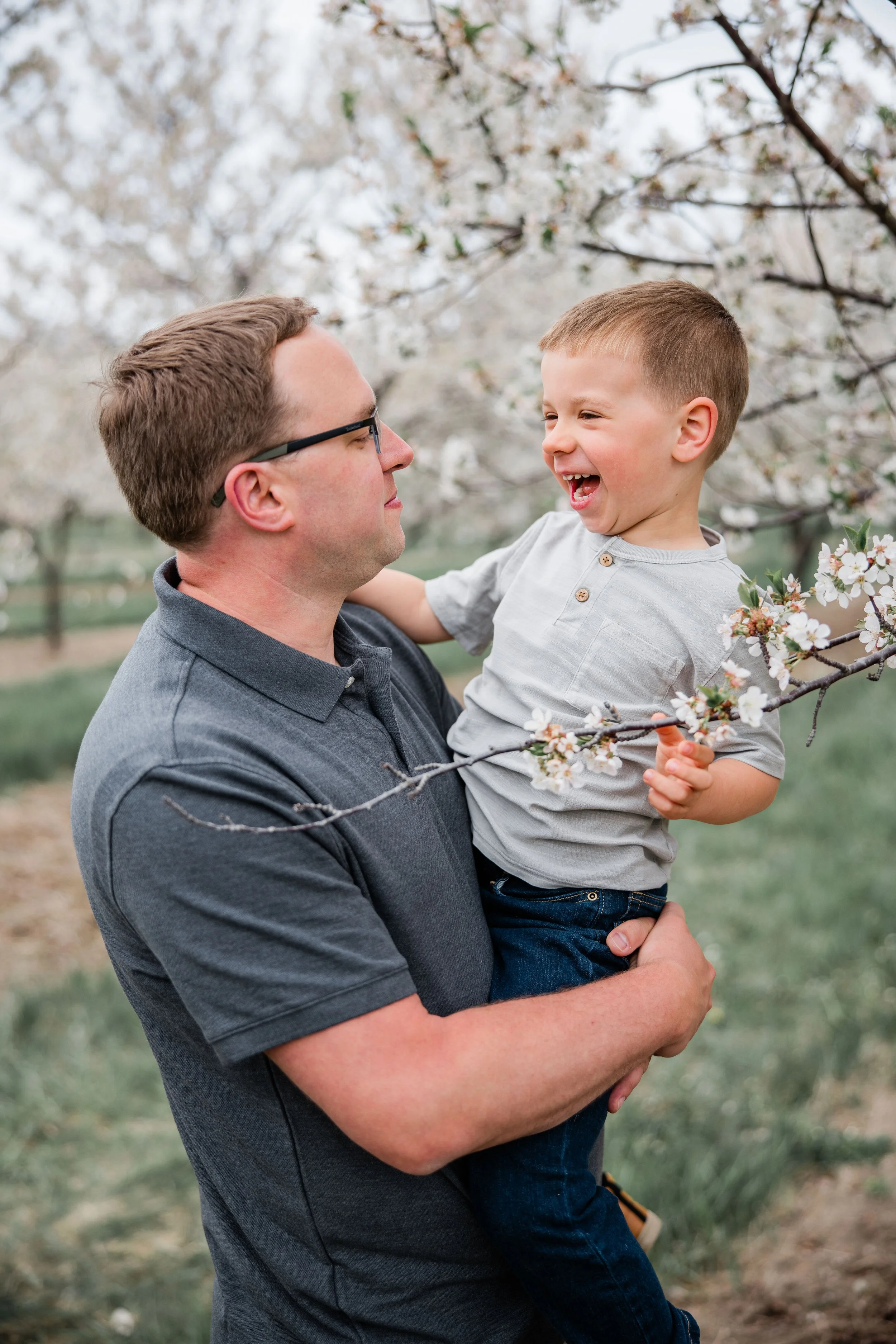 Jacobs Cherry Blossom 2026-12.jpg