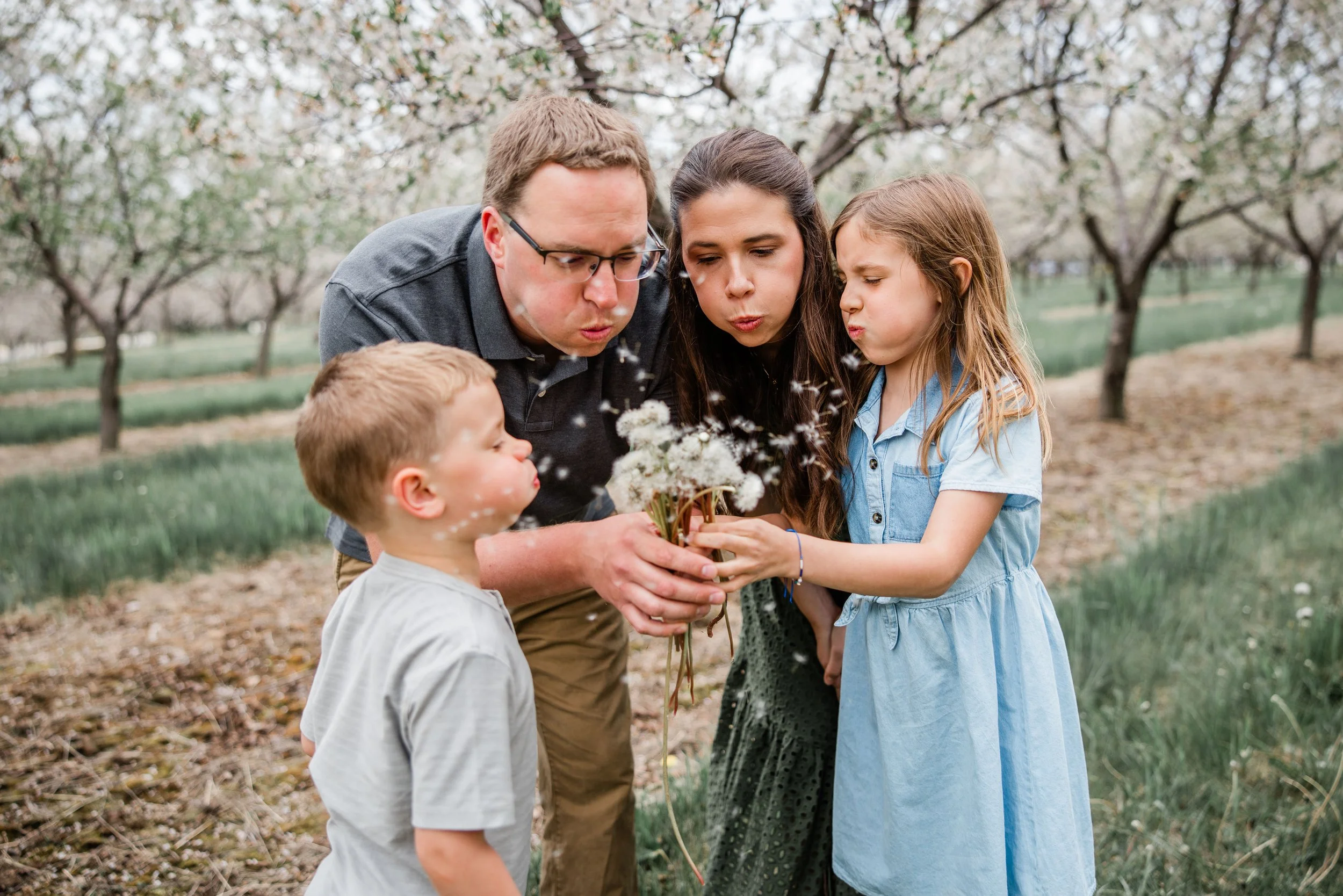 Jacobs Cherry Blossom 2026-16.jpg