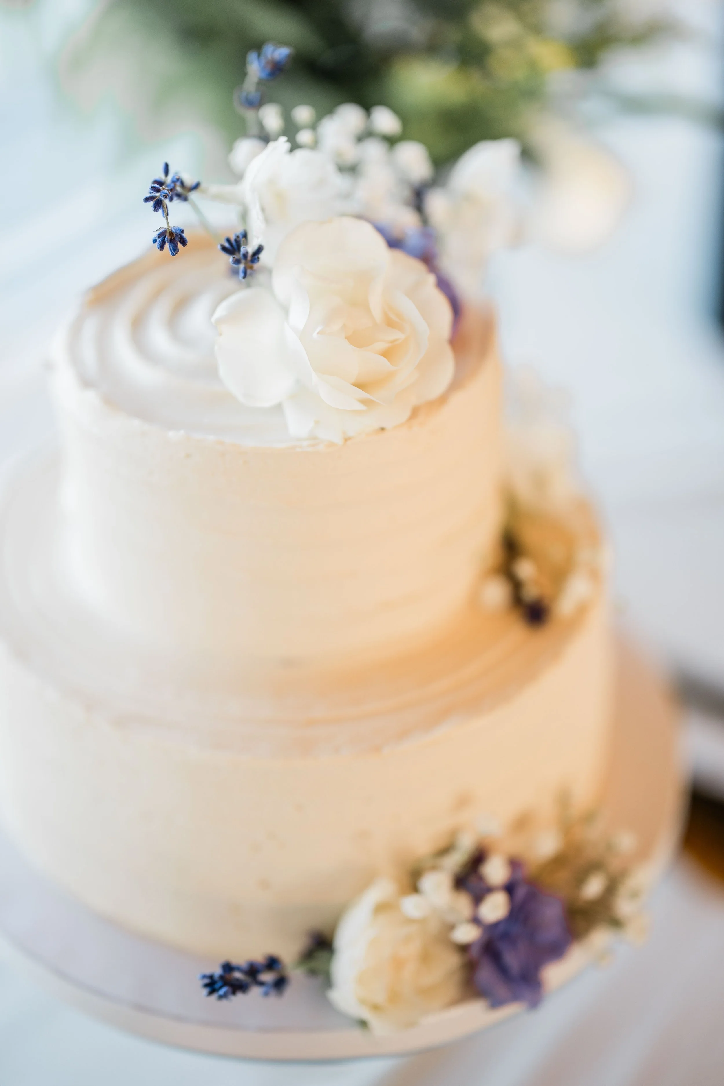 Allison and JD Wedding-159.jpg