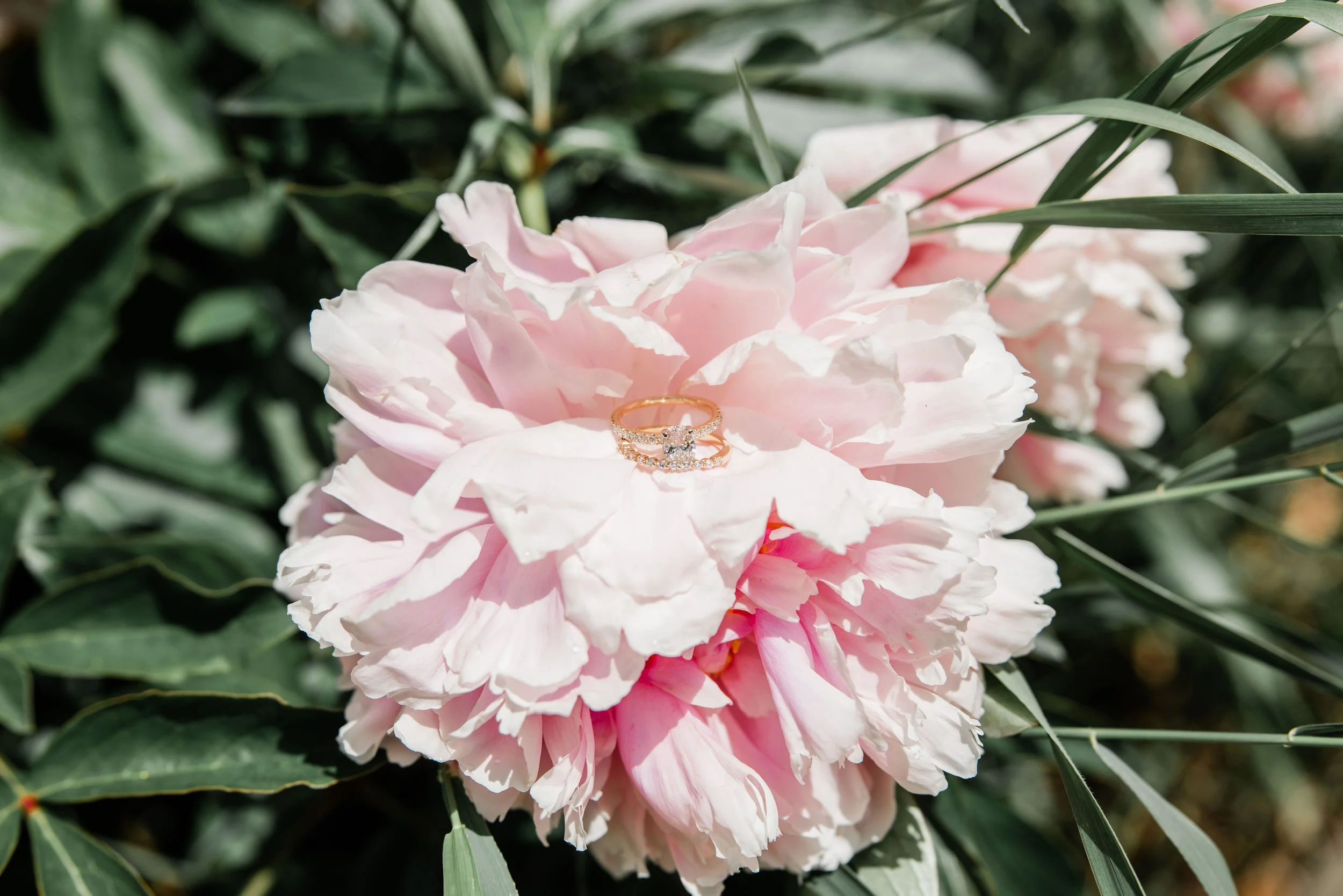 Leah and Greg Wedding-5.jpg