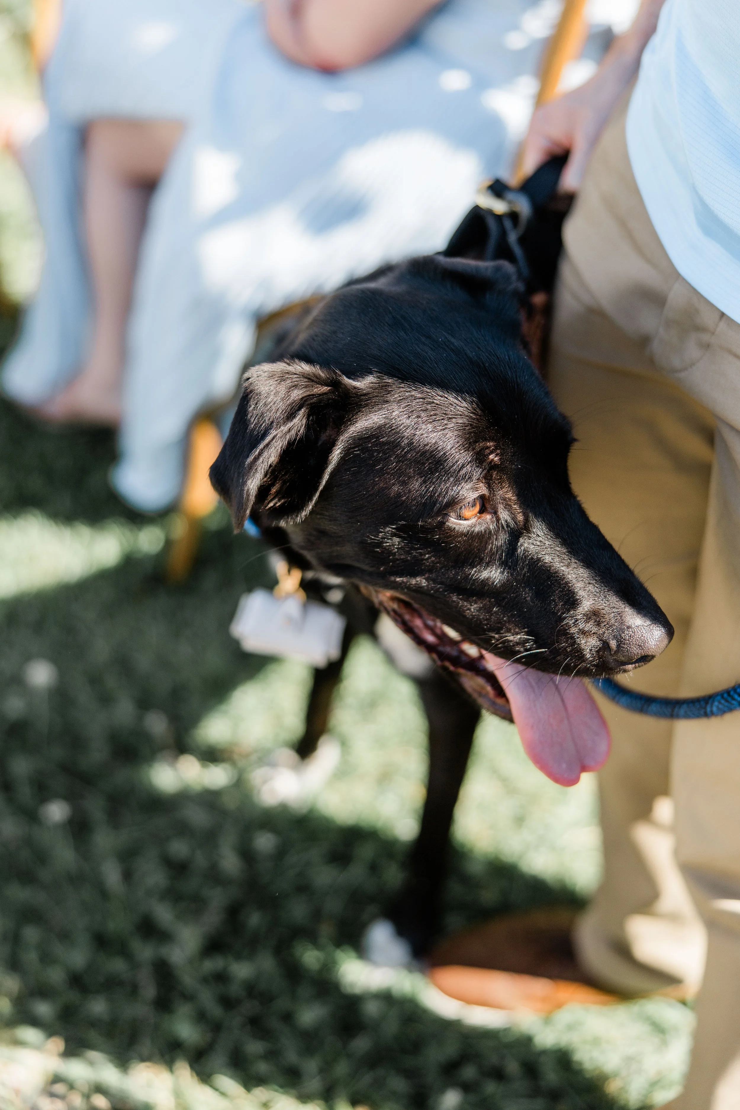 Heather and Craig Wedding-34.jpg